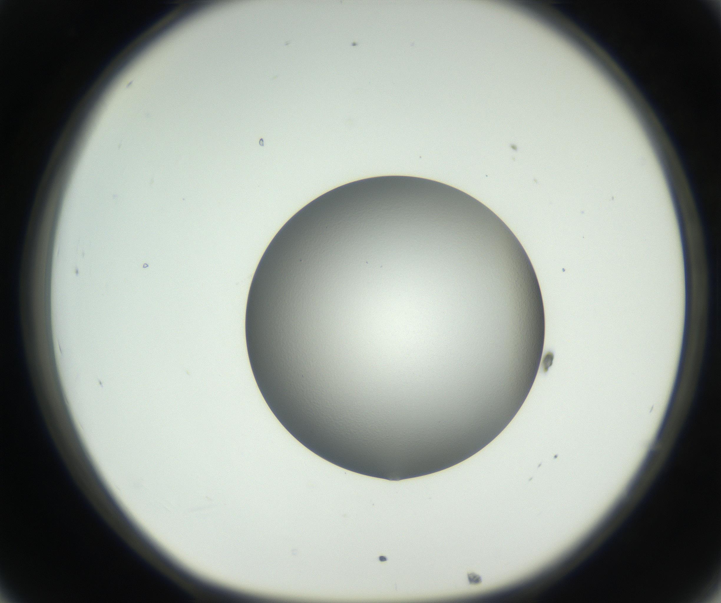 RI01_03_000_0212_Proj1_Clon1_MC_0000MC102706_003_160905_08_03_01_00_99_002_001_RAI.jpg