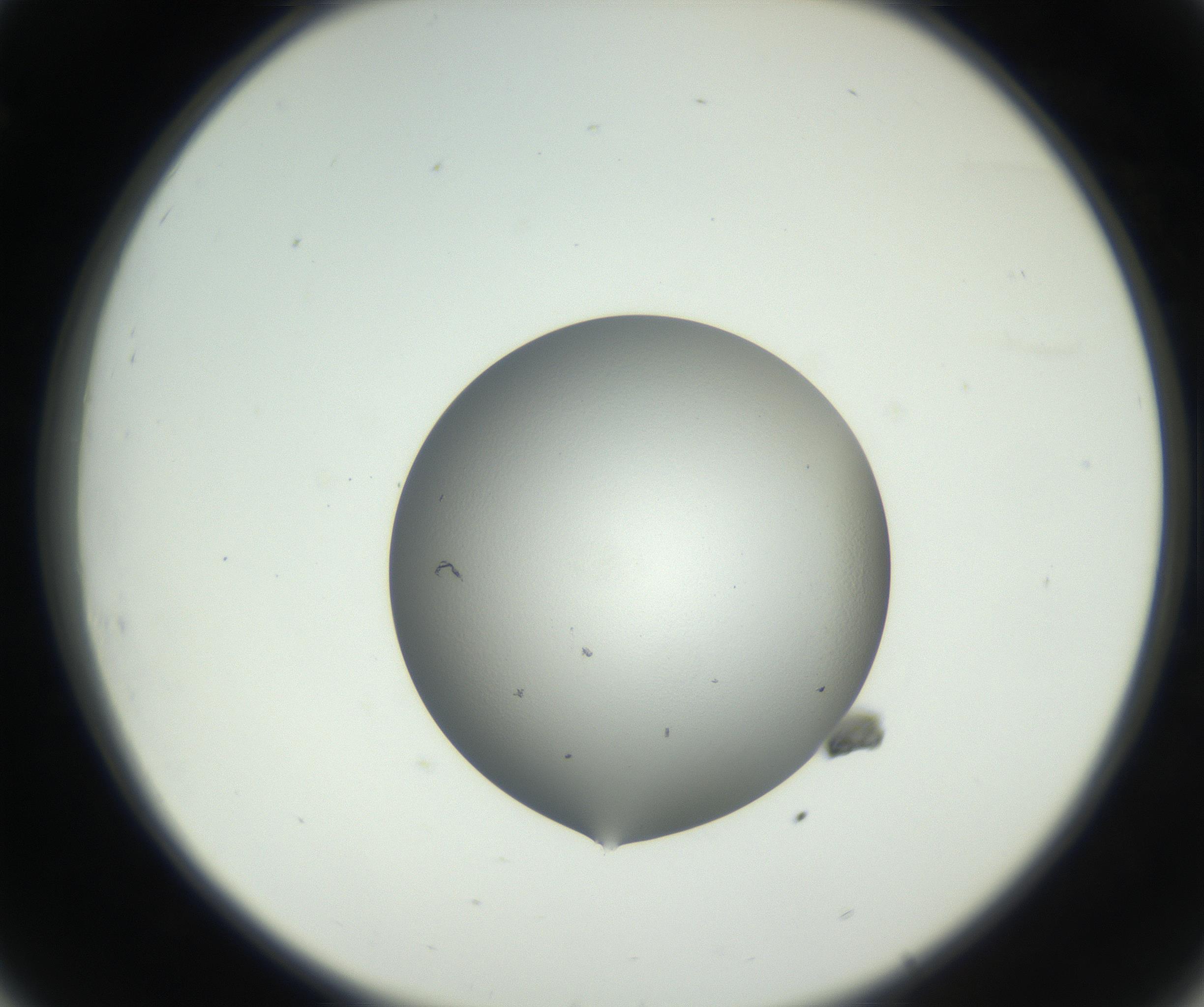 RI01_03_000_0212_Proj1_Clon1_MC_0000MC102706_003_160905_08_03_02_00_99_002_001_RAI.jpg