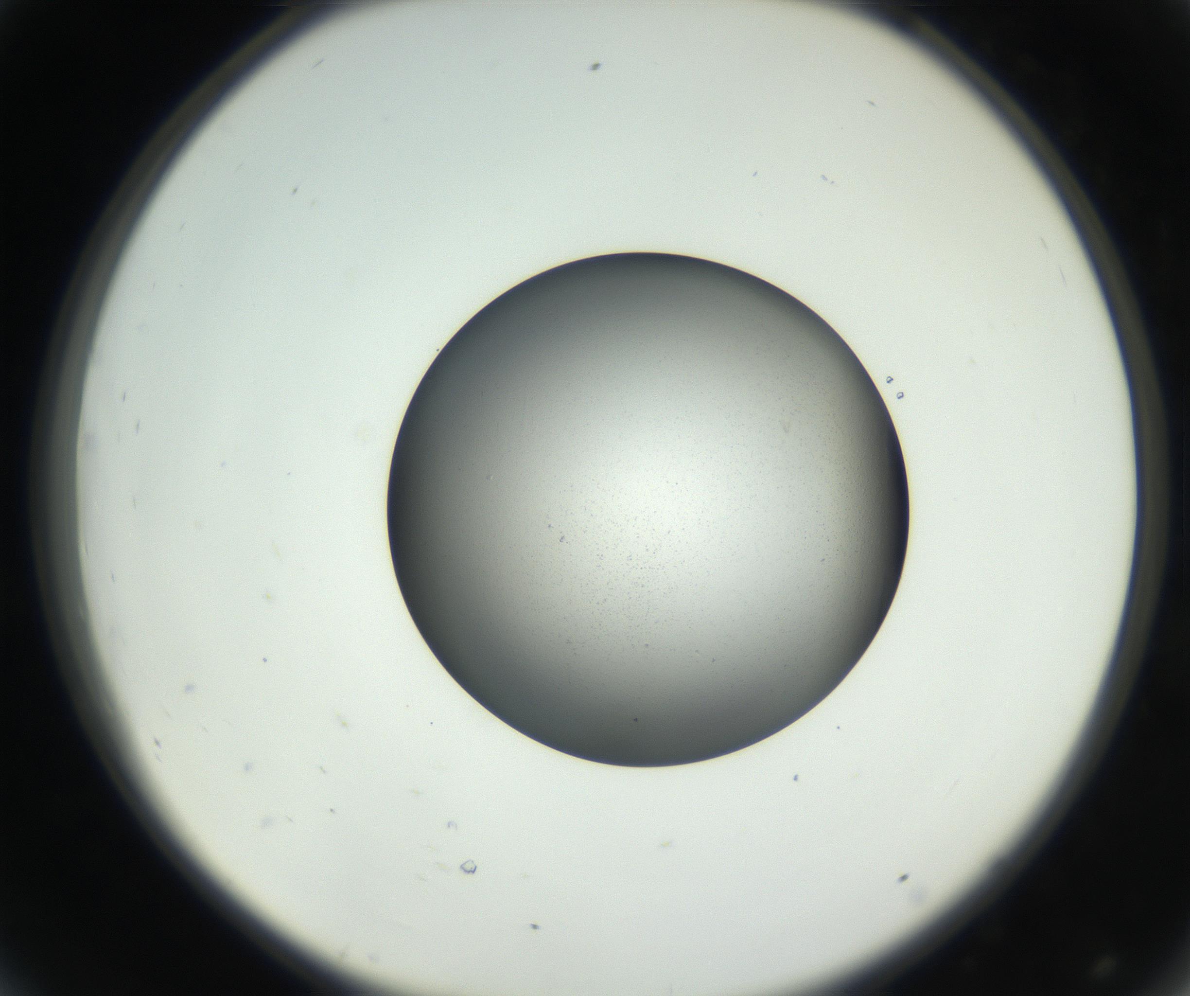 RI01_03_000_0212_Proj1_Clon1_MC_0000MC102706_003_160905_08_04_02_00_99_002_001_RAI.jpg