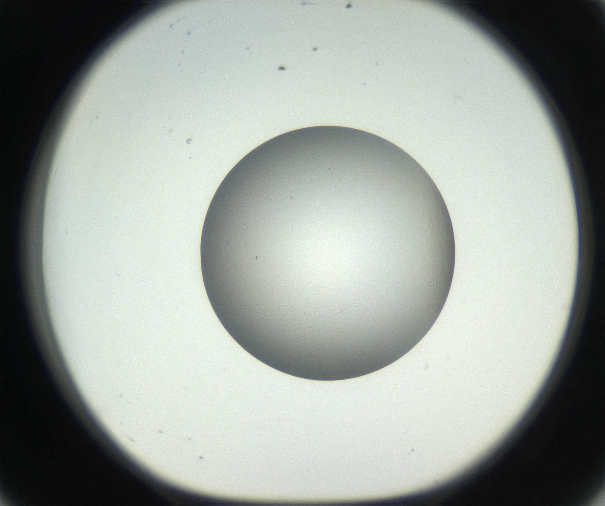 RI01_03_000_0212_Proj1_Clon1_MC_0000MC102706_003_160905_08_05_01_00_99_002_001_RAI.jpg