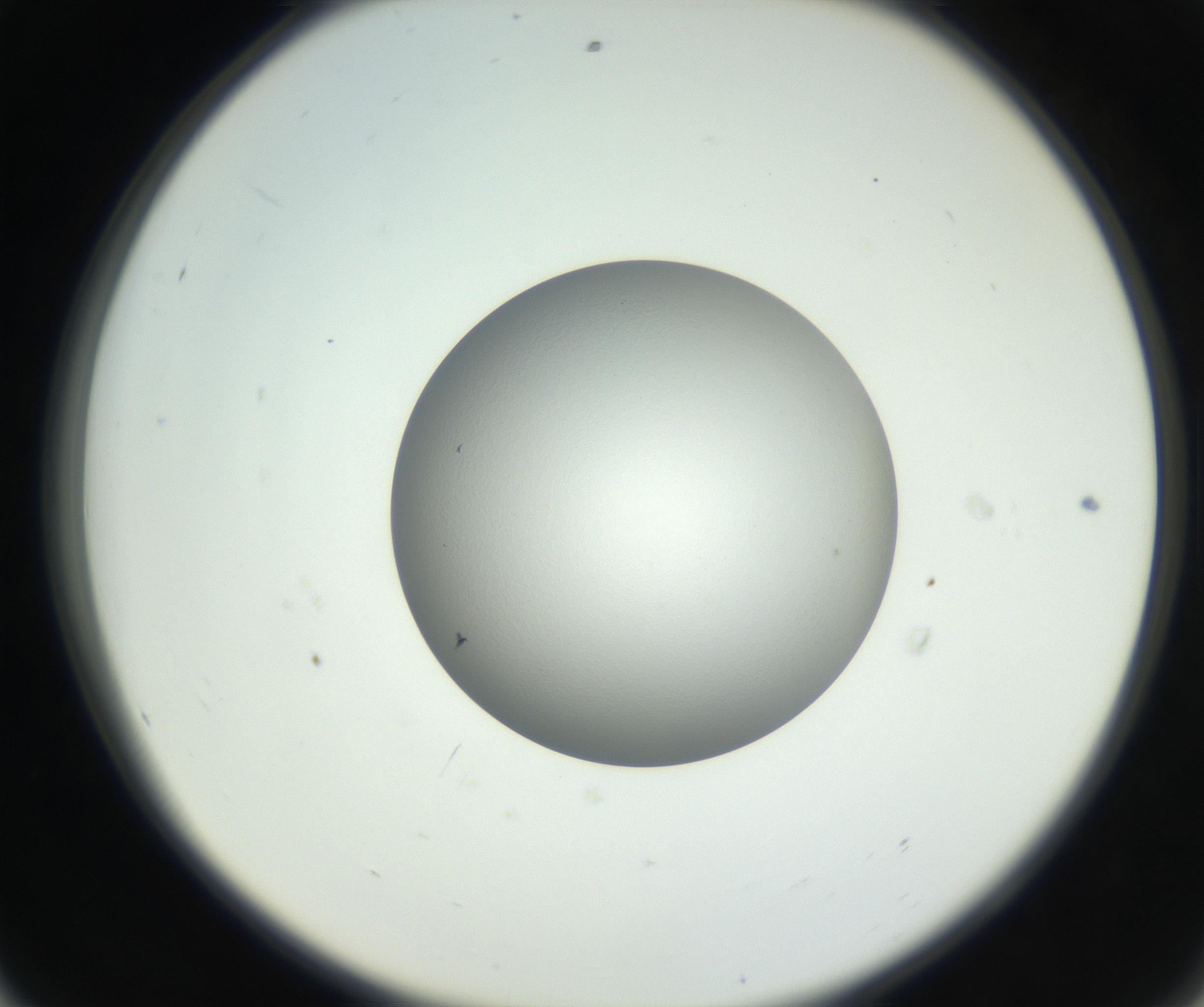 RI01_03_000_0212_Proj1_Clon1_MC_0000MC102706_003_160905_08_05_02_00_99_002_001_RAI.jpg