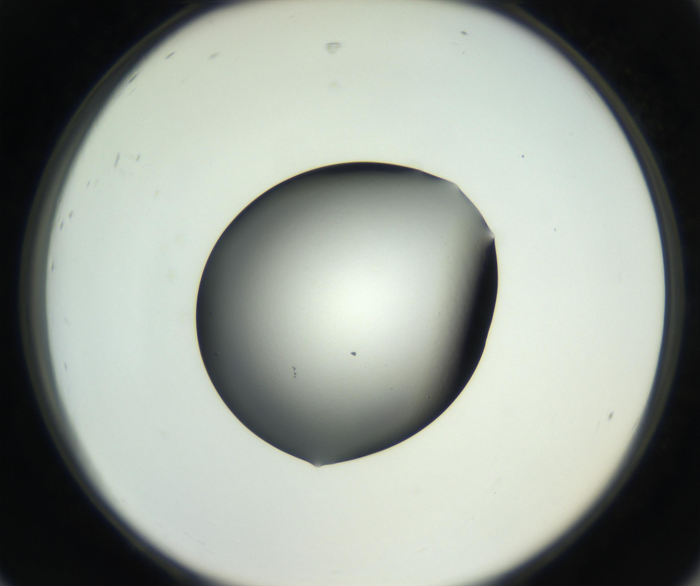 RI01_03_000_0212_Proj1_Clon1_MC_0000MC102706_003_160905_08_08_02_00_99_002_001_RAI.jpg