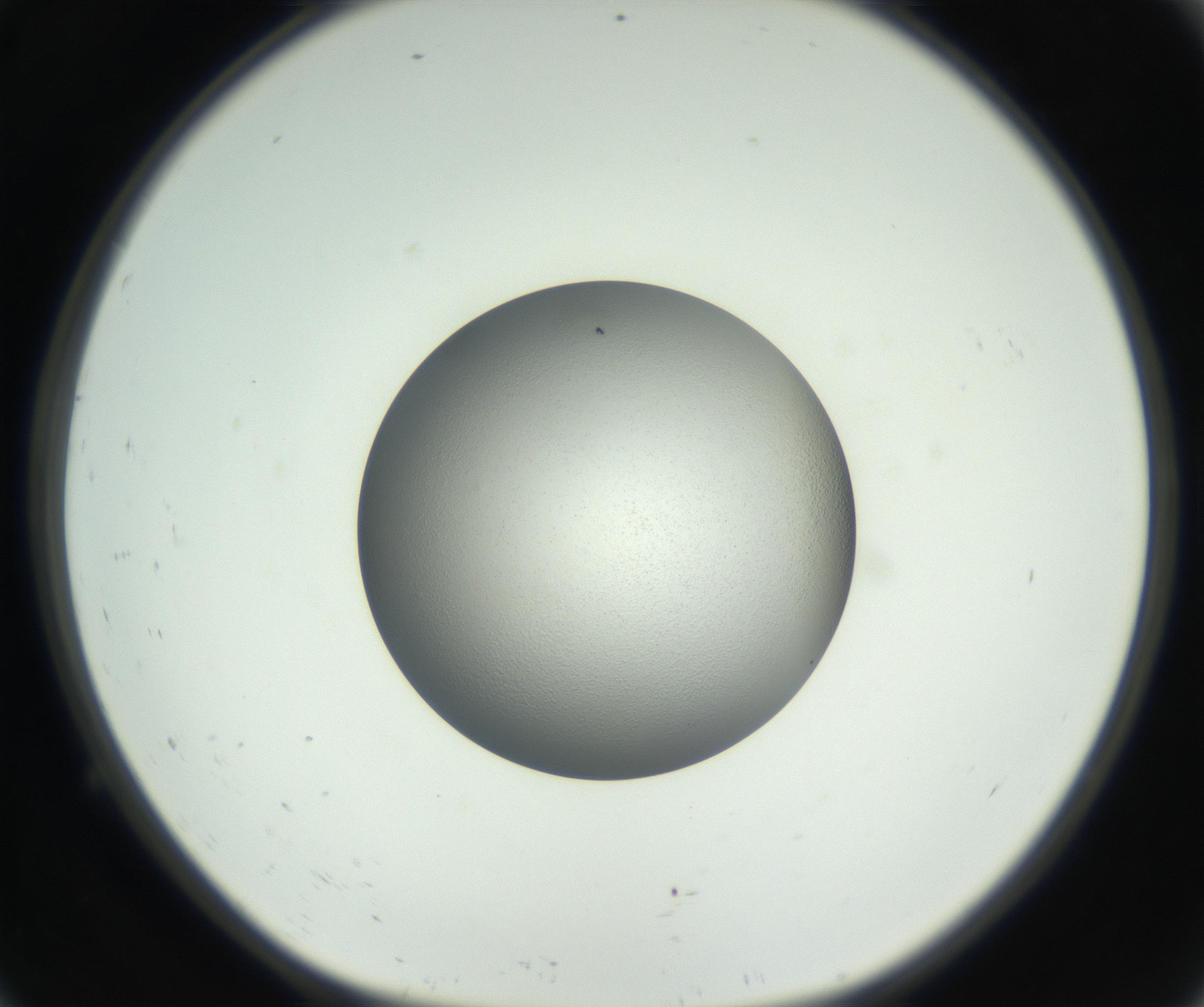 RI01_03_000_0212_Proj1_Clon1_MC_0000MC102706_003_160905_09_01_01_00_99_002_001_RAI.jpg