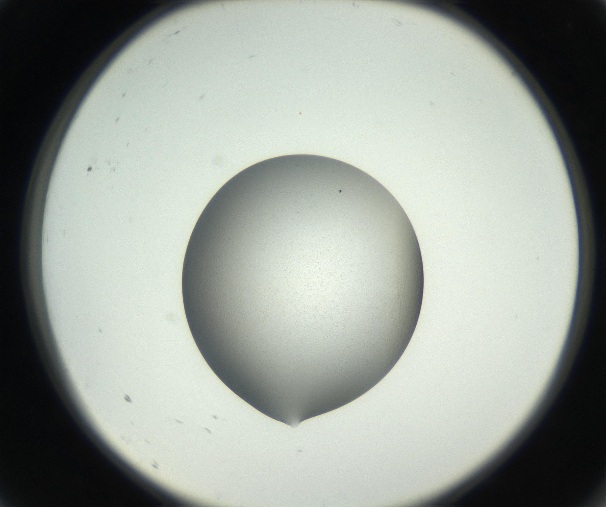 RI01_03_000_0212_Proj1_Clon1_MC_0000MC102706_003_160905_09_01_02_00_99_002_001_RAI.jpg