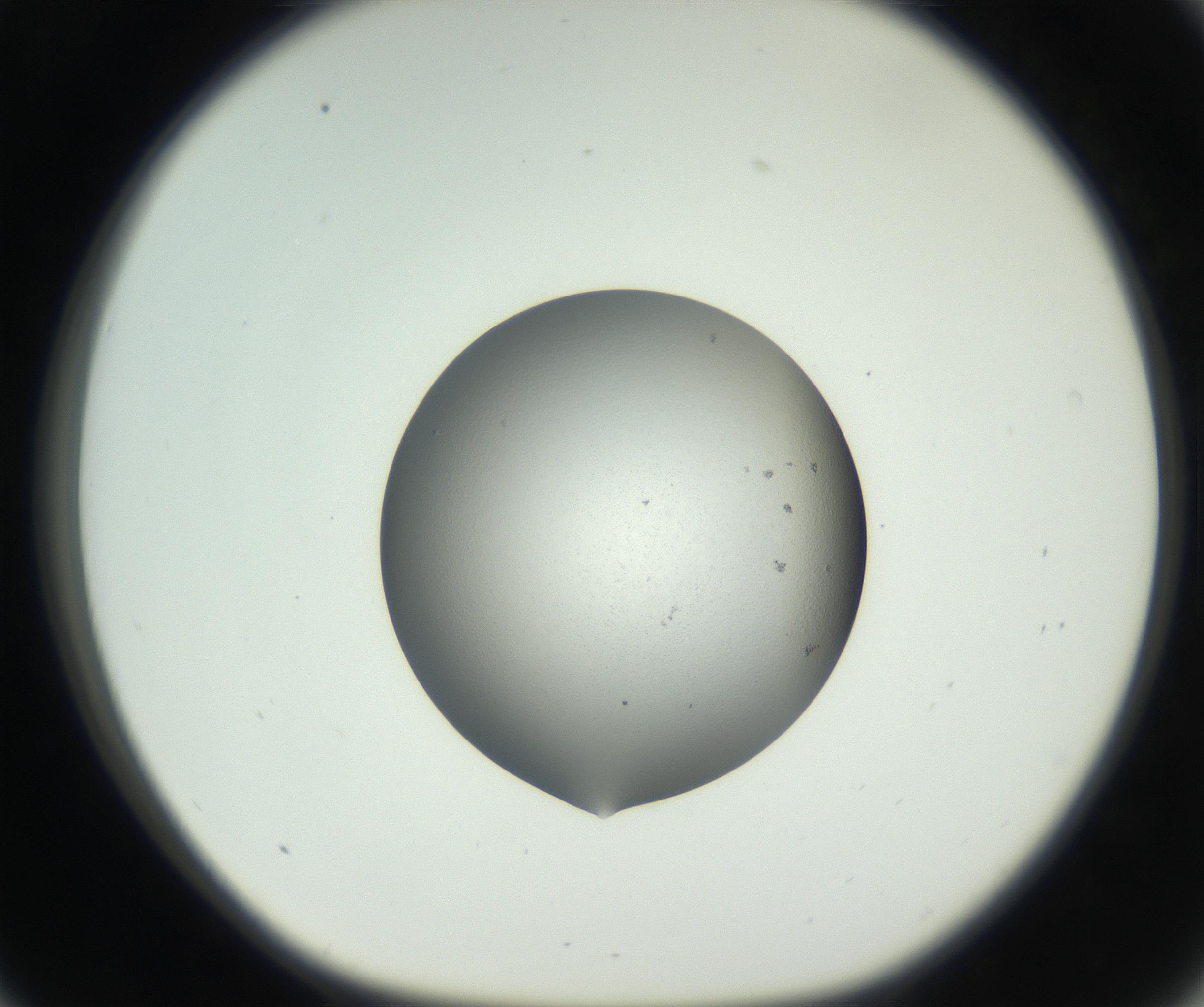 RI01_03_000_0212_Proj1_Clon1_MC_0000MC102706_003_160905_09_03_01_00_99_002_001_RAI.jpg