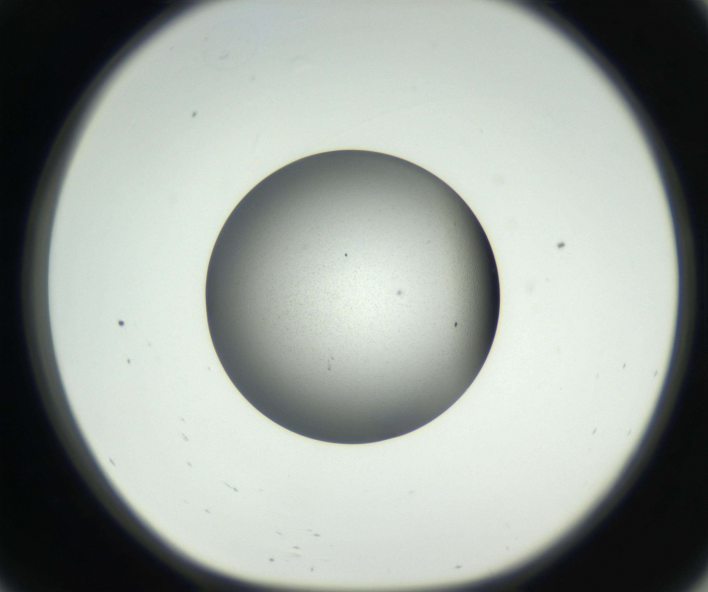 RI01_03_000_0212_Proj1_Clon1_MC_0000MC102706_003_160905_09_05_01_00_99_002_001_RAI.jpg