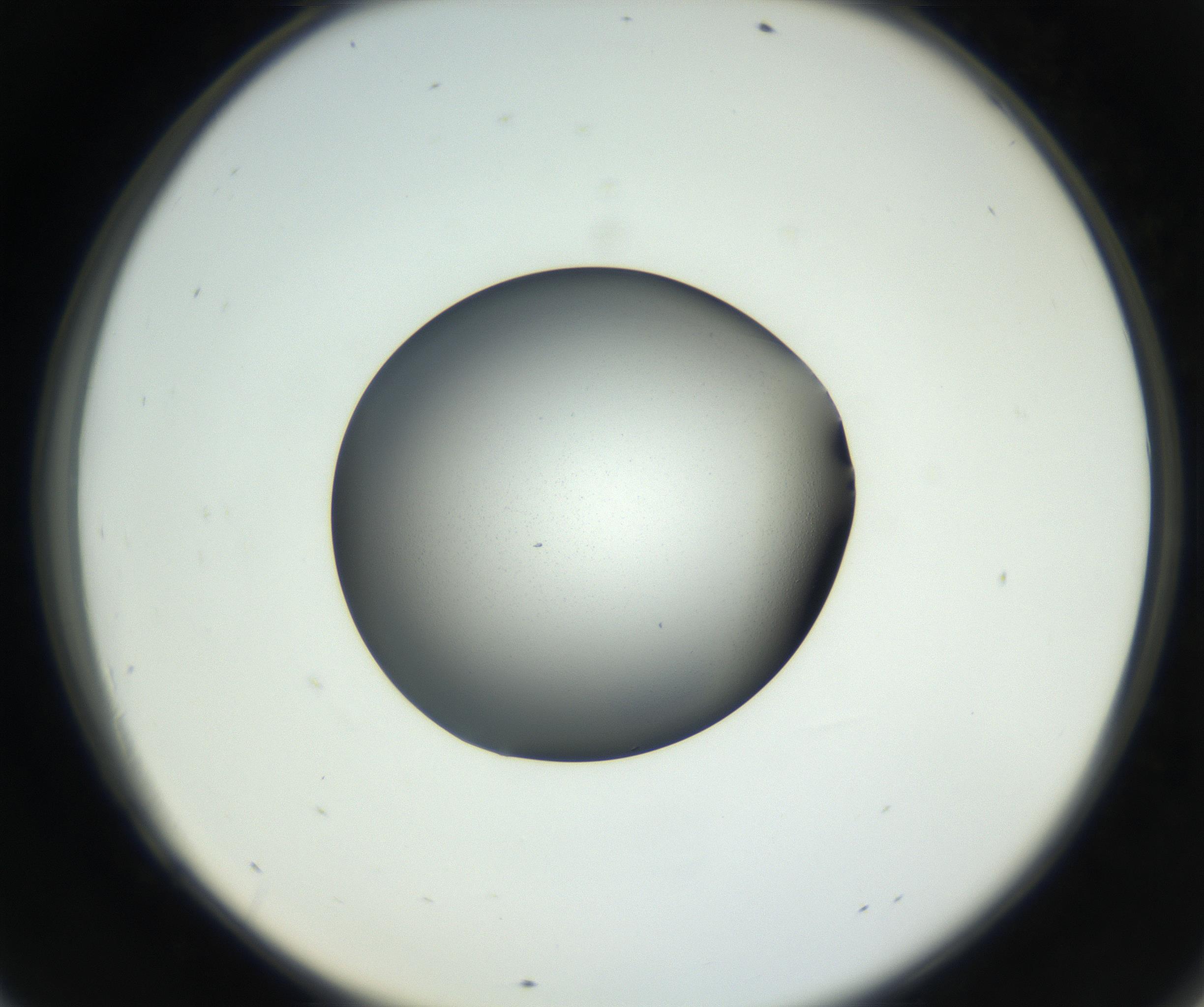 RI01_03_000_0212_Proj1_Clon1_MC_0000MC102706_003_160905_09_06_02_00_99_002_001_RAI.jpg