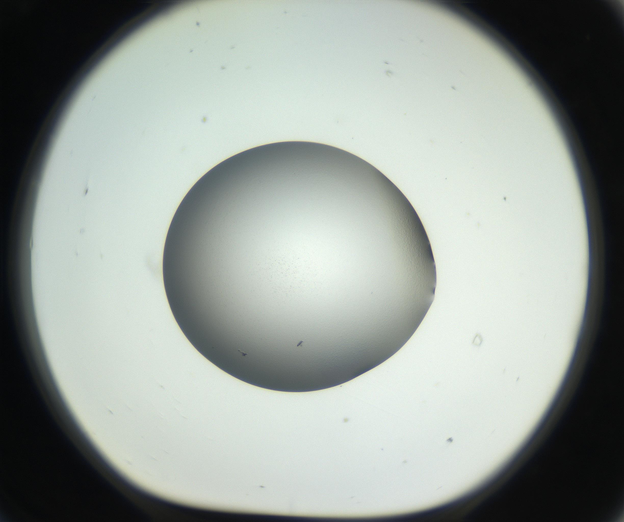 RI01_03_000_0212_Proj1_Clon1_MC_0000MC102706_003_160905_09_07_01_00_99_002_001_RAI.jpg
