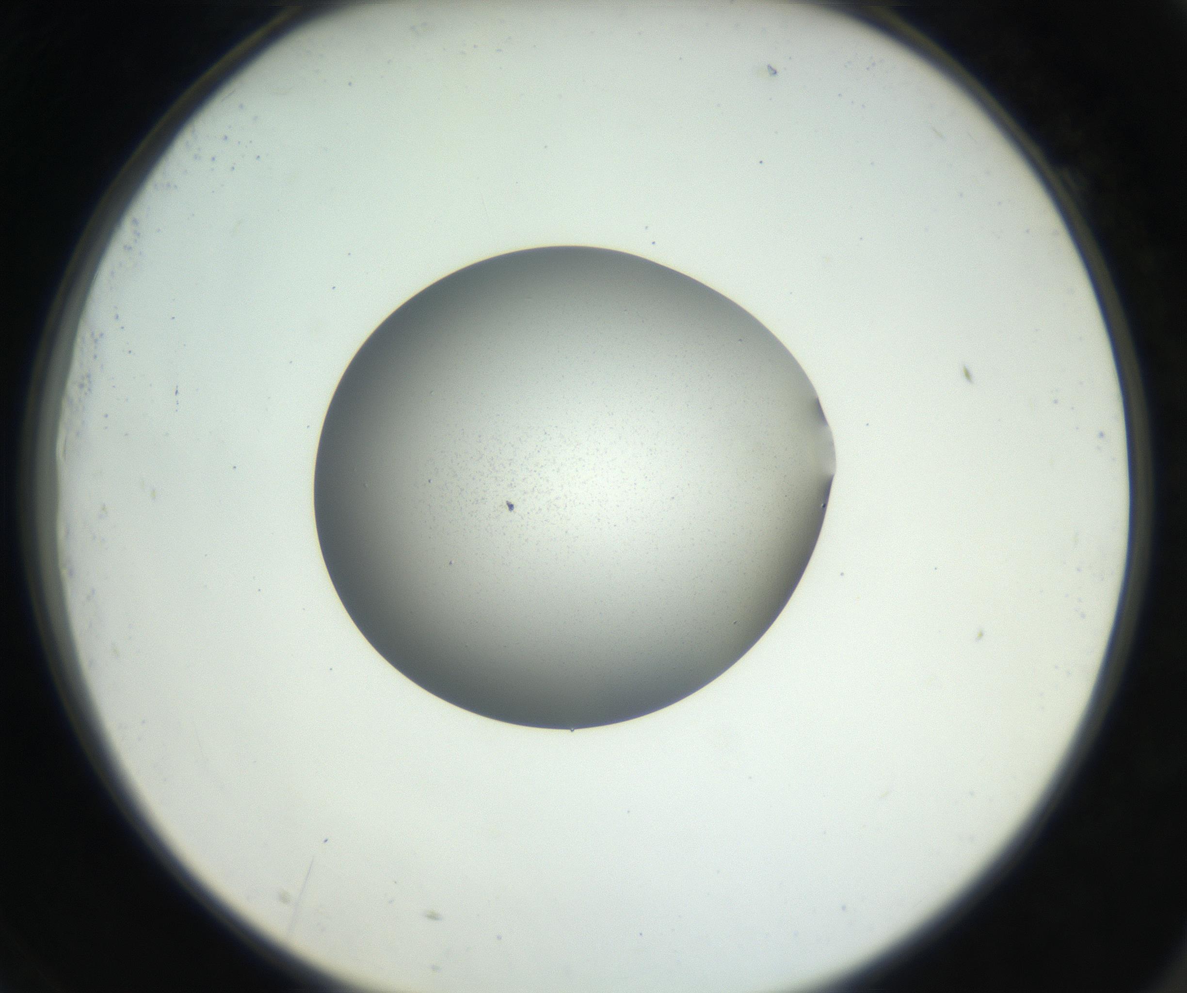 RI01_03_000_0212_Proj1_Clon1_MC_0000MC102706_003_160905_09_07_02_00_99_002_001_RAI.jpg