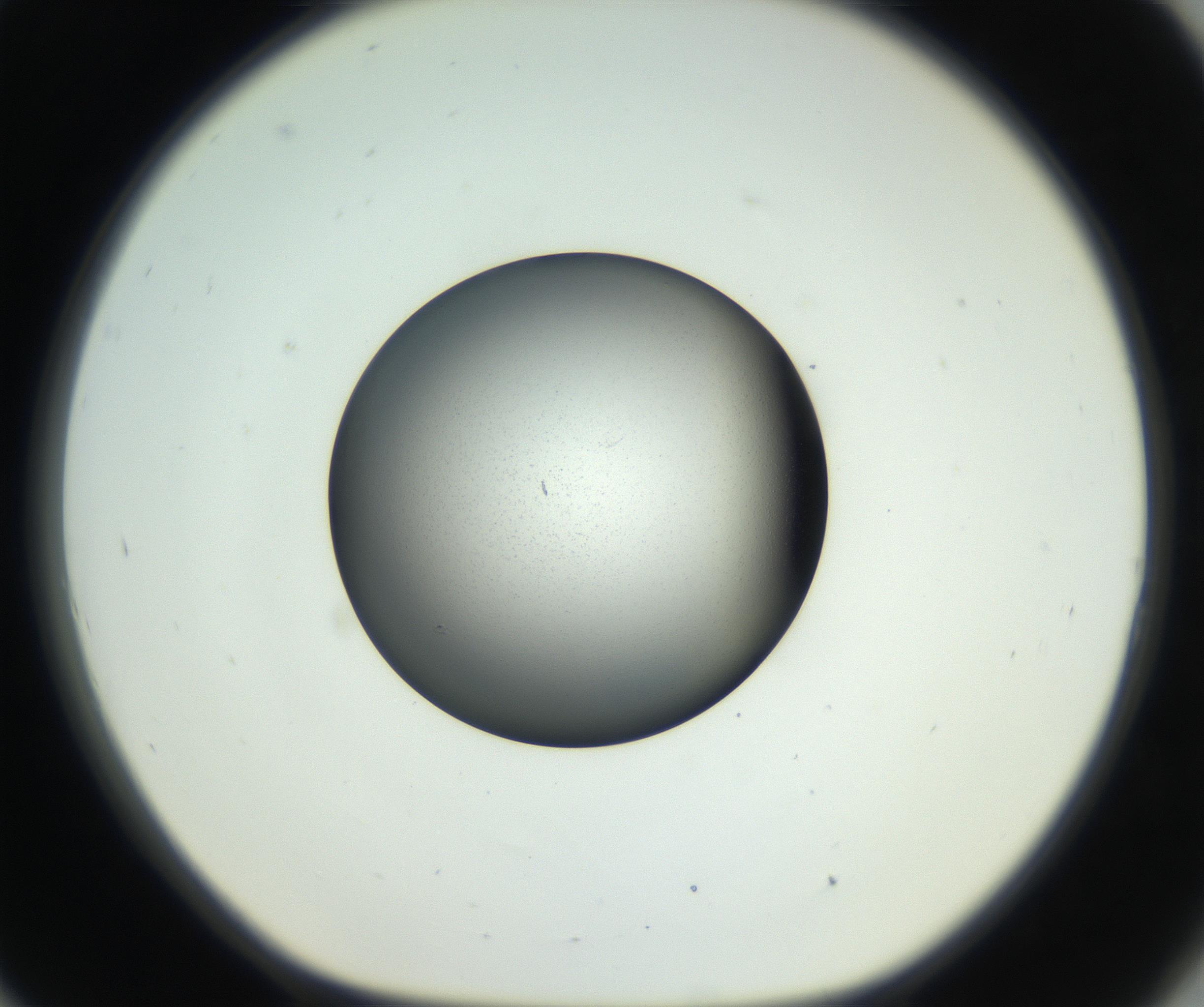 RI01_03_000_0212_Proj1_Clon1_MC_0000MC102706_003_160905_09_08_01_00_99_002_001_RAI.jpg