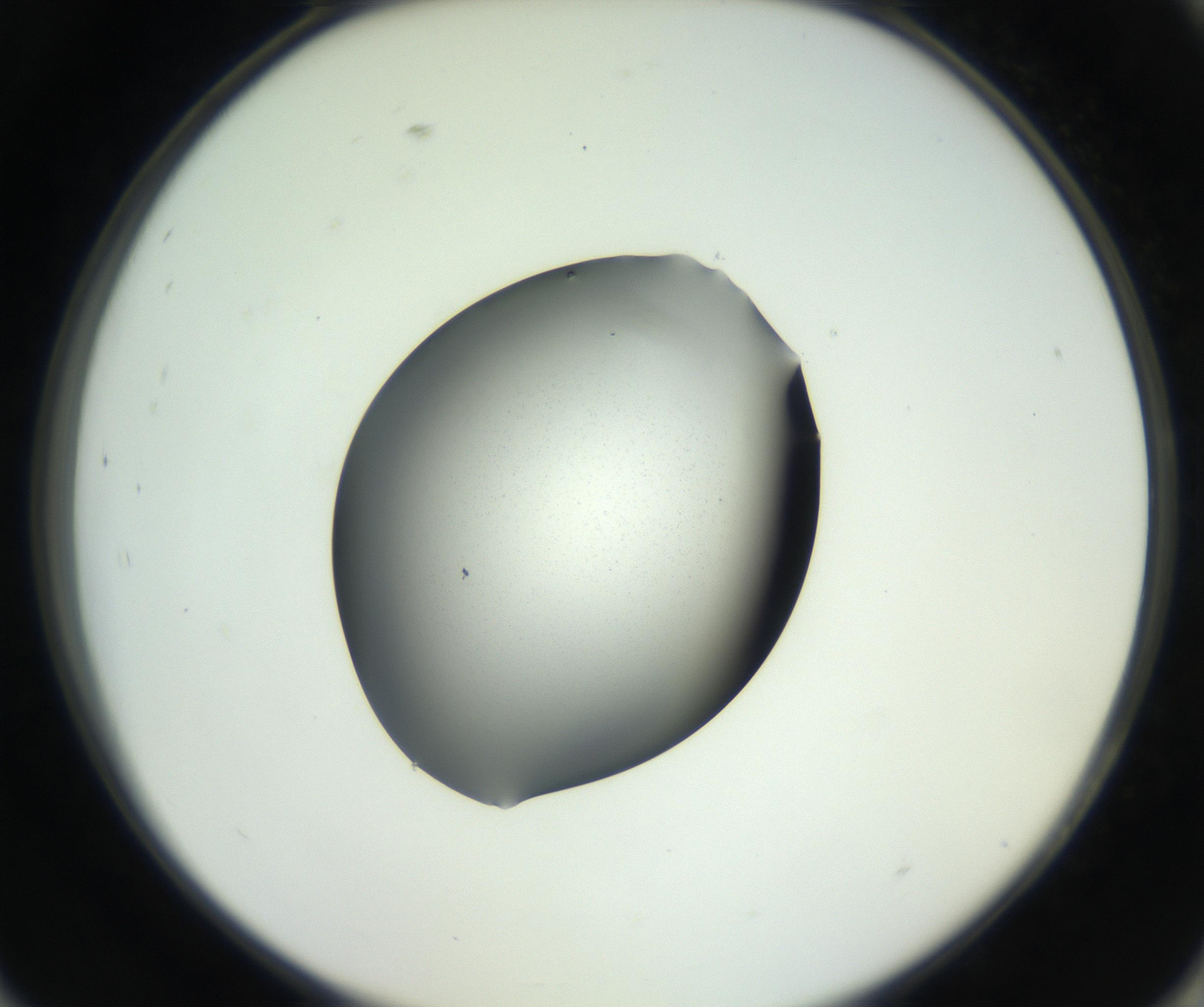 RI01_03_000_0212_Proj1_Clon1_MC_0000MC102706_003_160905_09_08_02_00_99_002_001_RAI.jpg