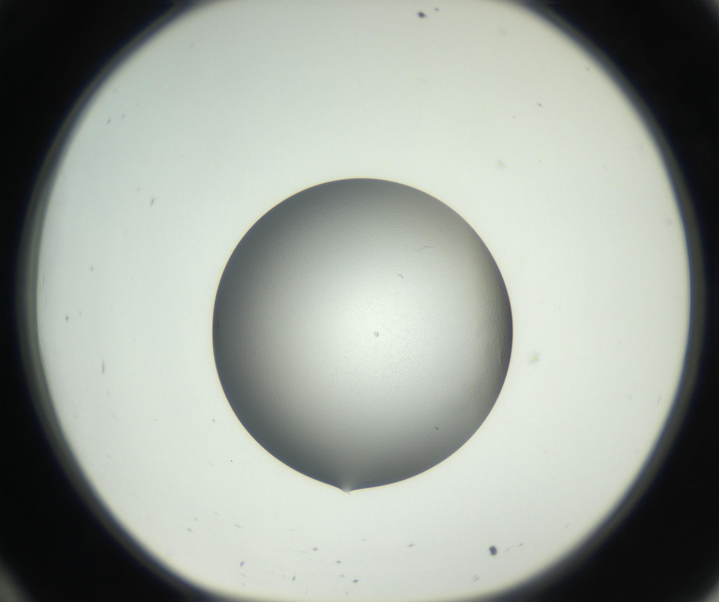RI01_03_000_0212_Proj1_Clon1_MC_0000MC102706_003_160905_10_03_01_00_99_002_001_RAI.jpg