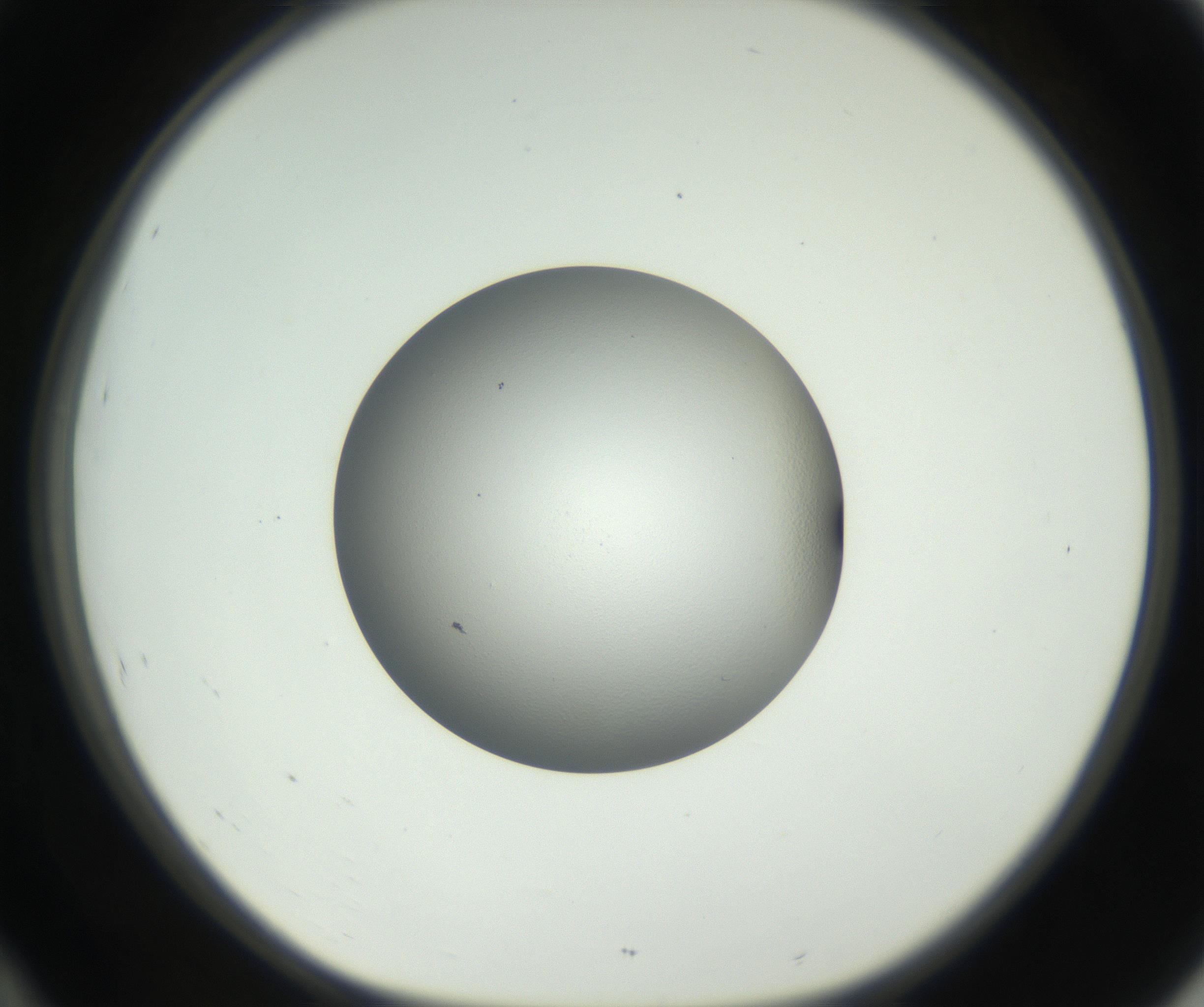 RI01_03_000_0212_Proj1_Clon1_MC_0000MC102706_003_160905_10_04_01_00_99_002_001_RAI.jpg