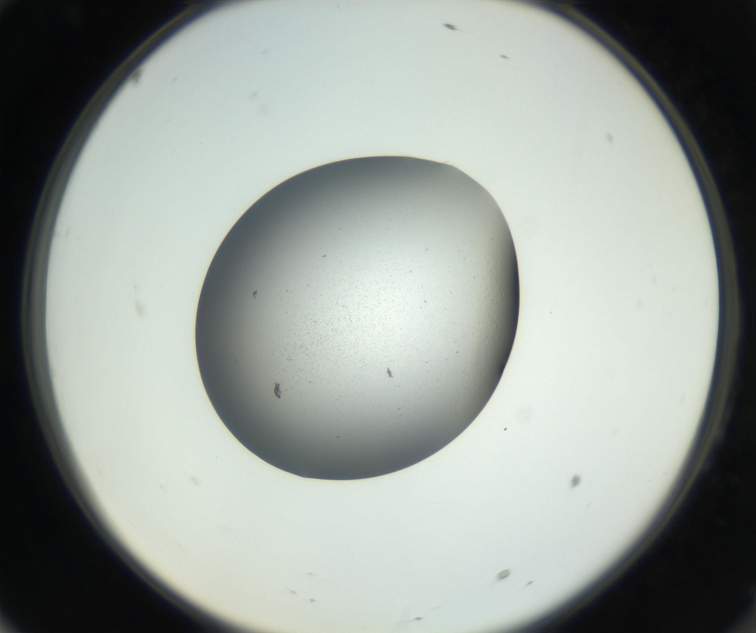 RI01_03_000_0212_Proj1_Clon1_MC_0000MC102706_003_160905_10_06_02_00_99_002_001_RAI.jpg