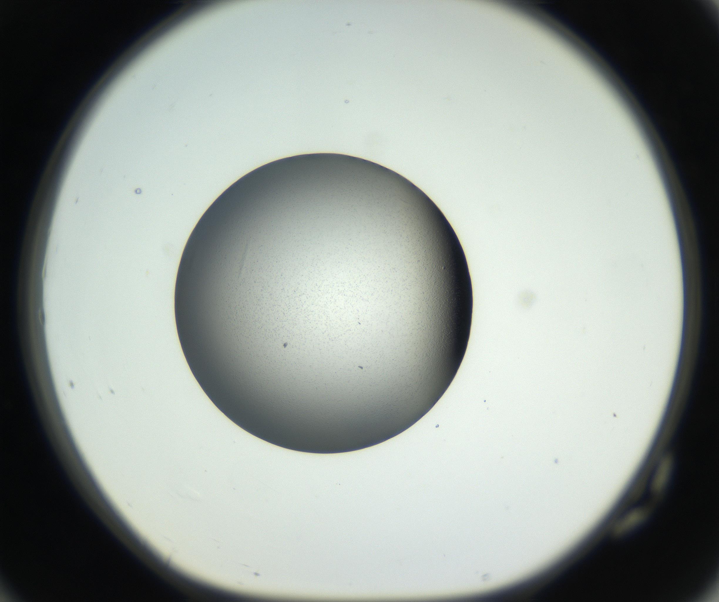 RI01_03_000_0212_Proj1_Clon1_MC_0000MC102706_003_160905_10_07_01_00_99_002_001_RAI.jpg