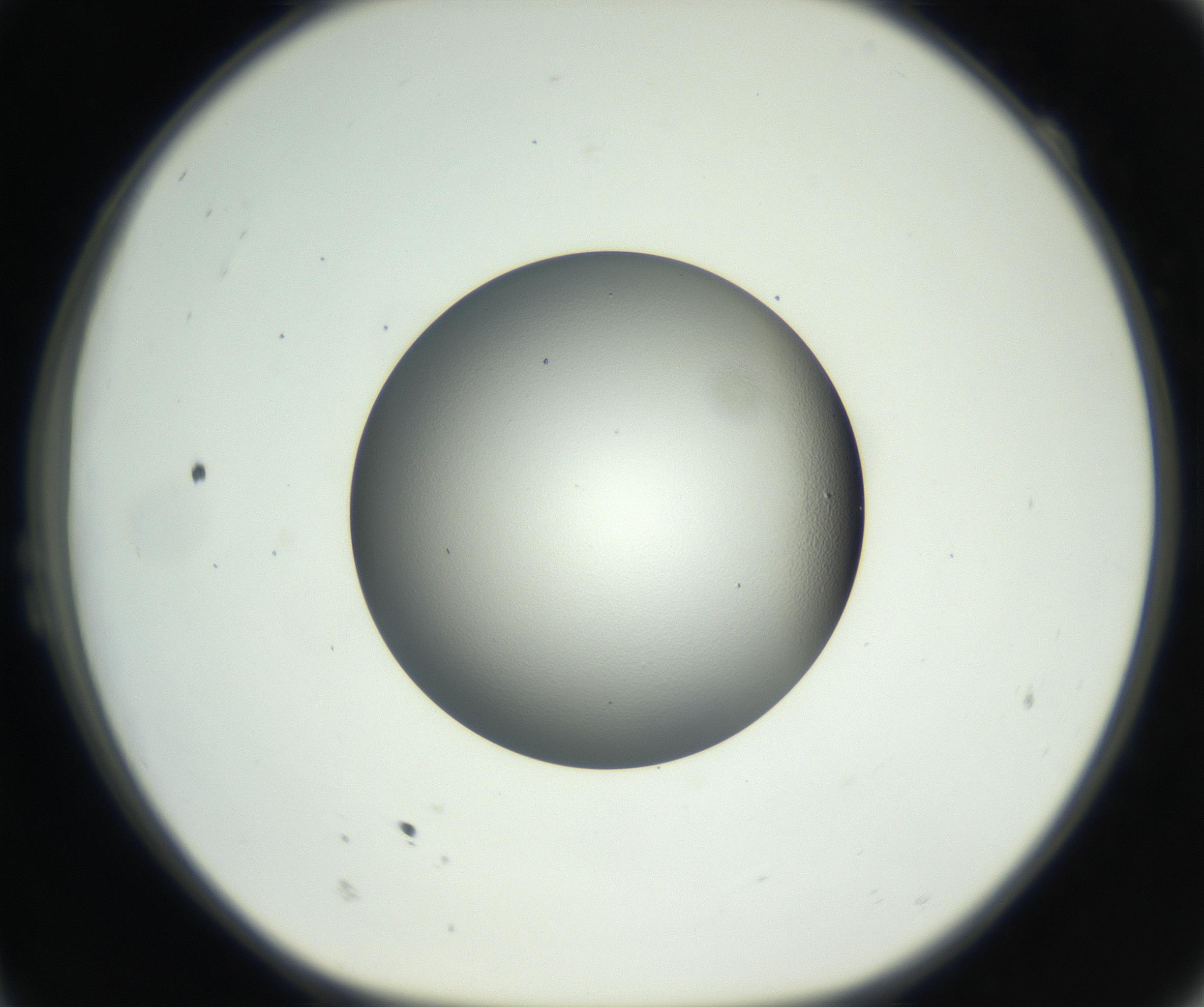 RI01_03_000_0212_Proj1_Clon1_MC_0000MC102706_003_160905_11_02_01_00_99_002_001_RAI.jpg