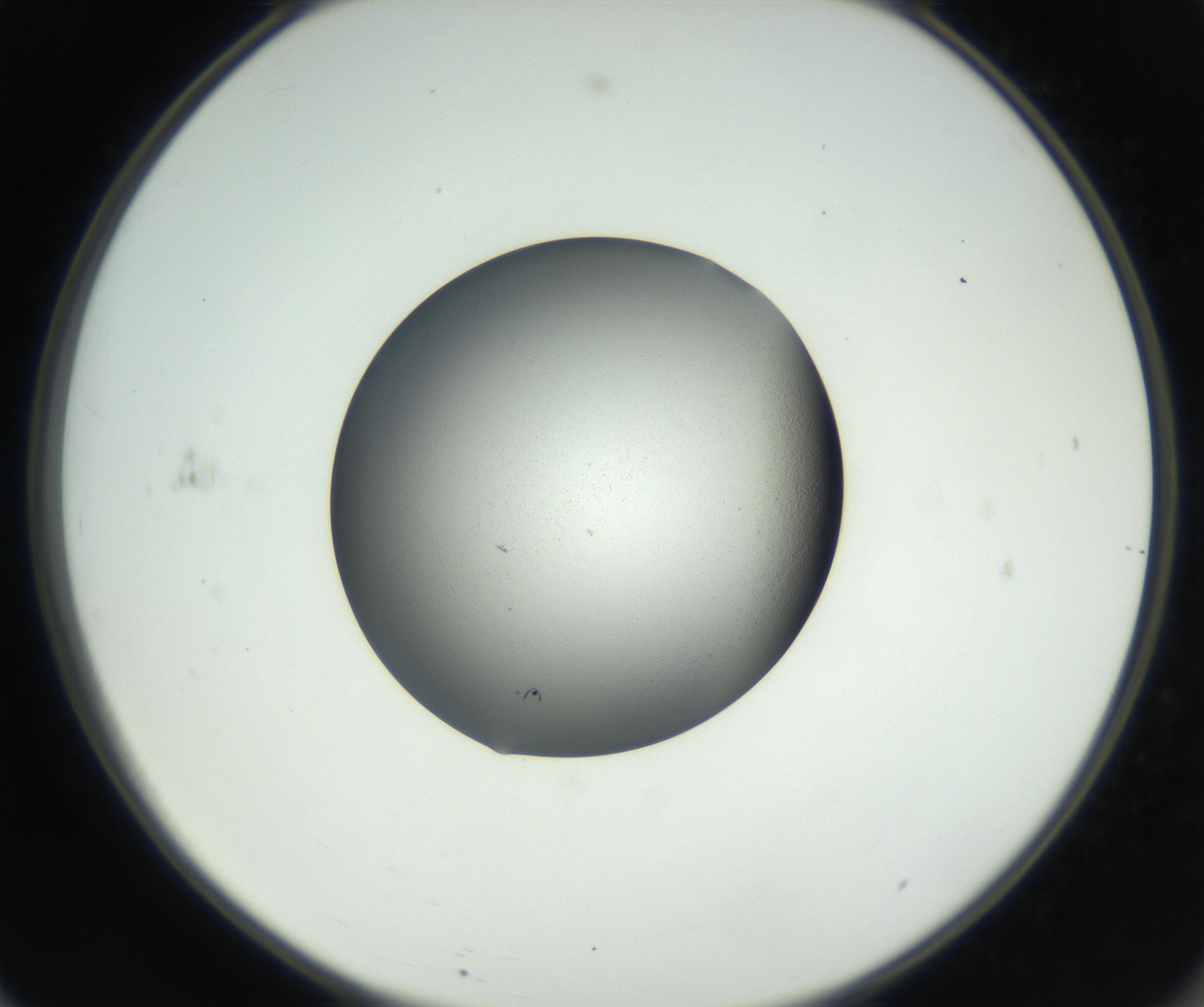 RI01_03_000_0212_Proj1_Clon1_MC_0000MC102706_003_160905_11_06_02_00_99_002_001_RAI.jpg