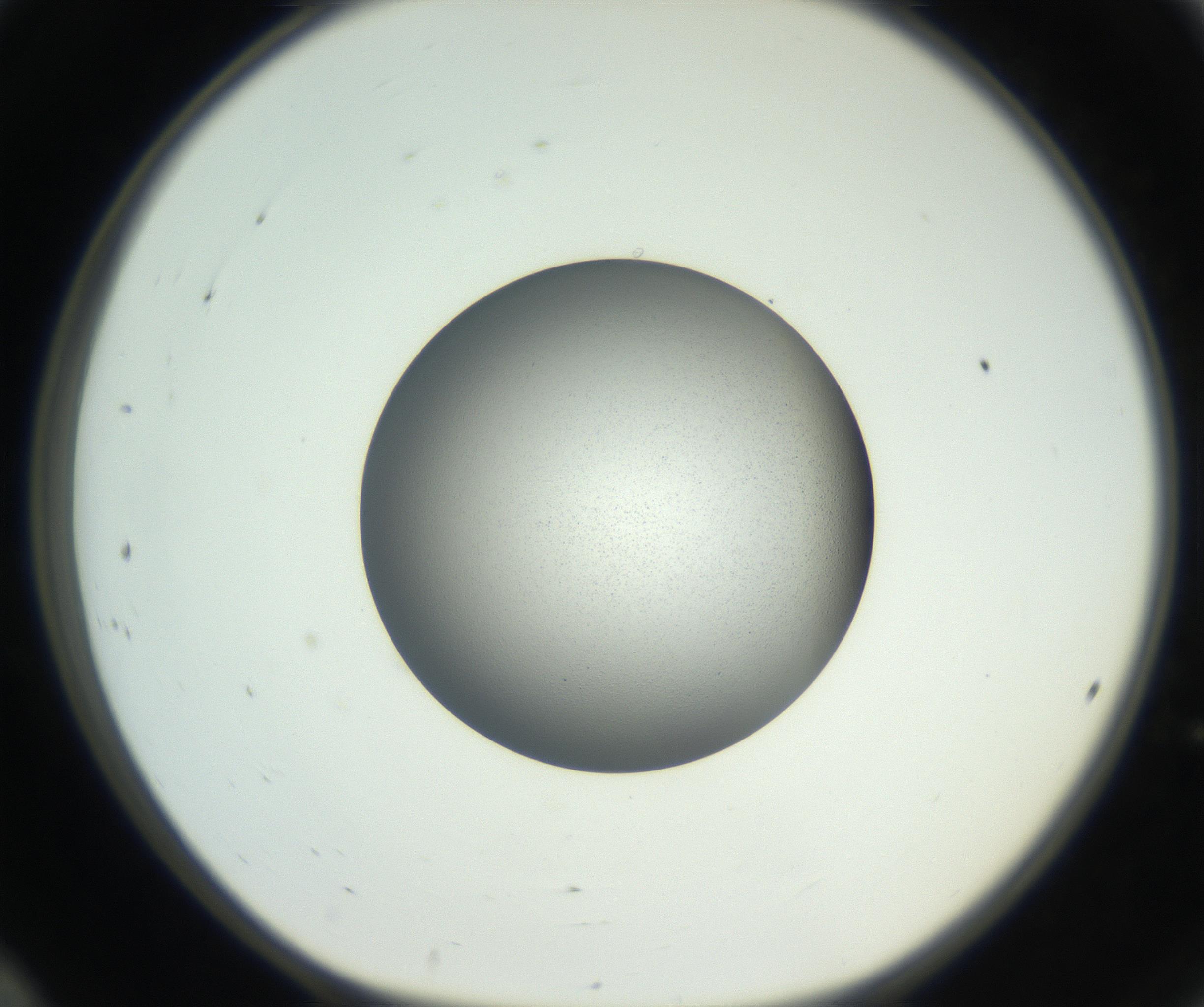 RI01_03_000_0212_Proj1_Clon1_MC_0000MC102706_003_160905_12_02_01_00_99_002_001_RAI.jpg