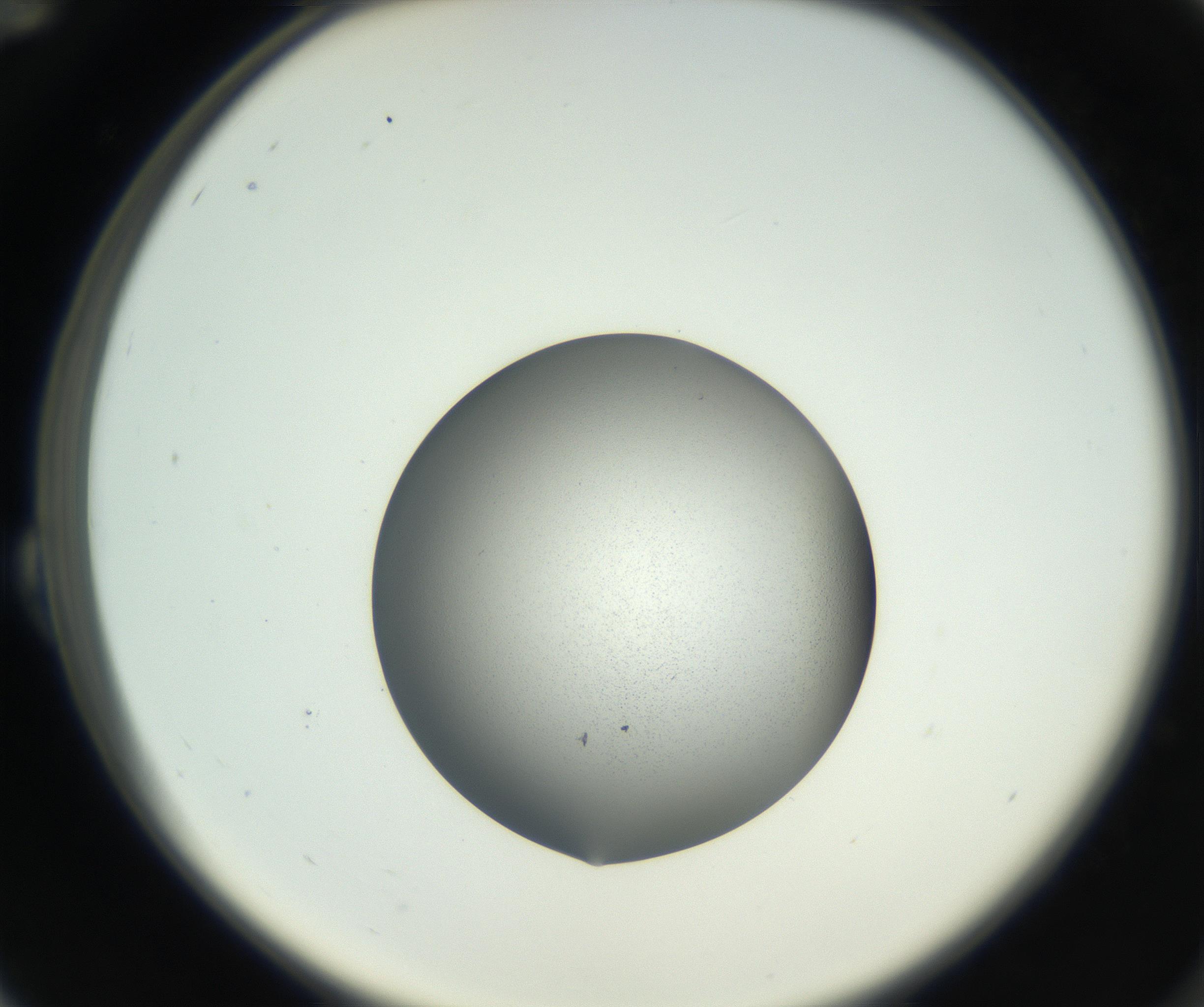RI01_03_000_0212_Proj1_Clon1_MC_0000MC102706_003_160905_12_02_02_00_99_002_001_RAI.jpg