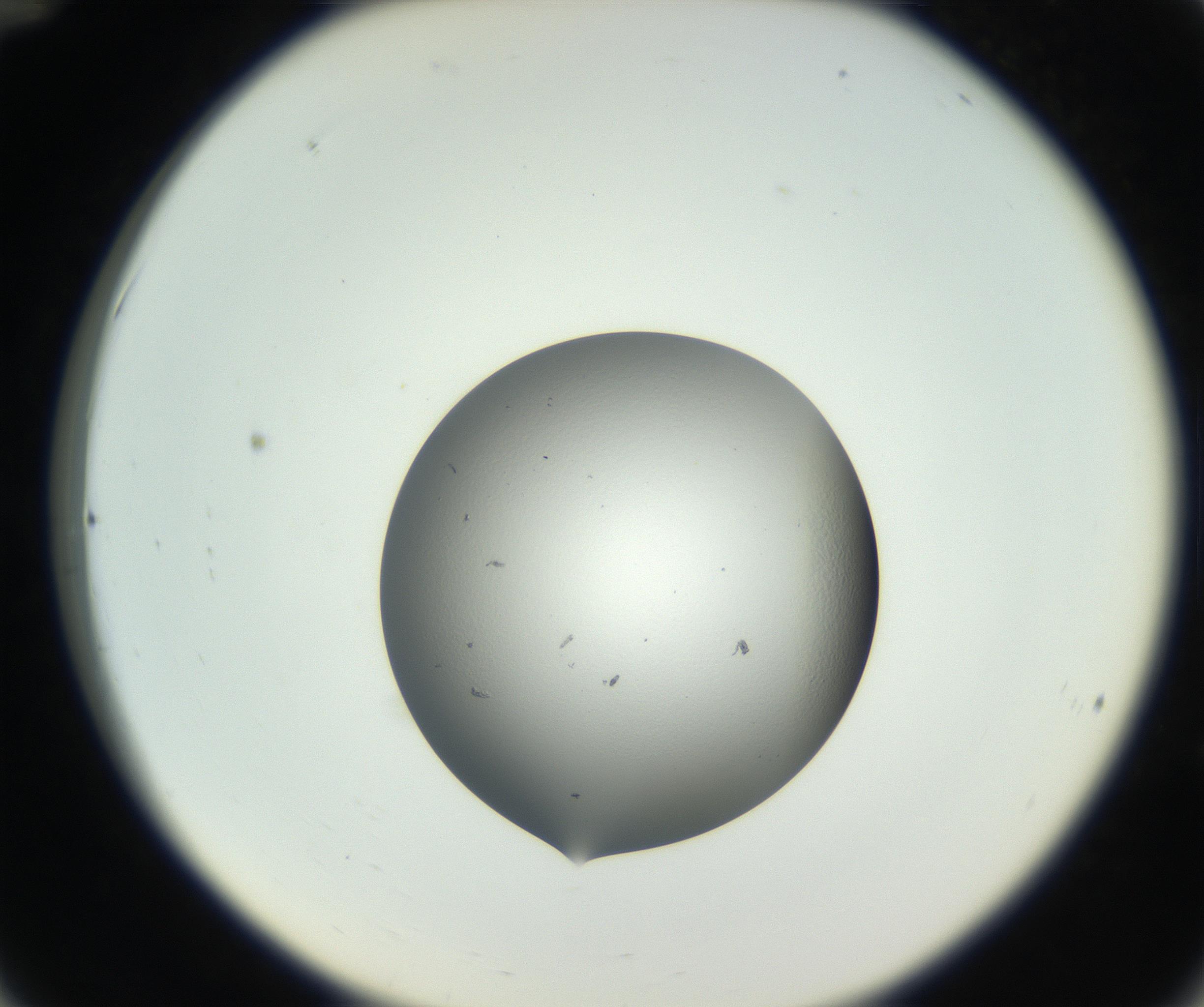 RI01_03_000_0212_Proj1_Clon1_MC_0000MC102706_003_160905_12_03_02_00_99_002_001_RAI.jpg