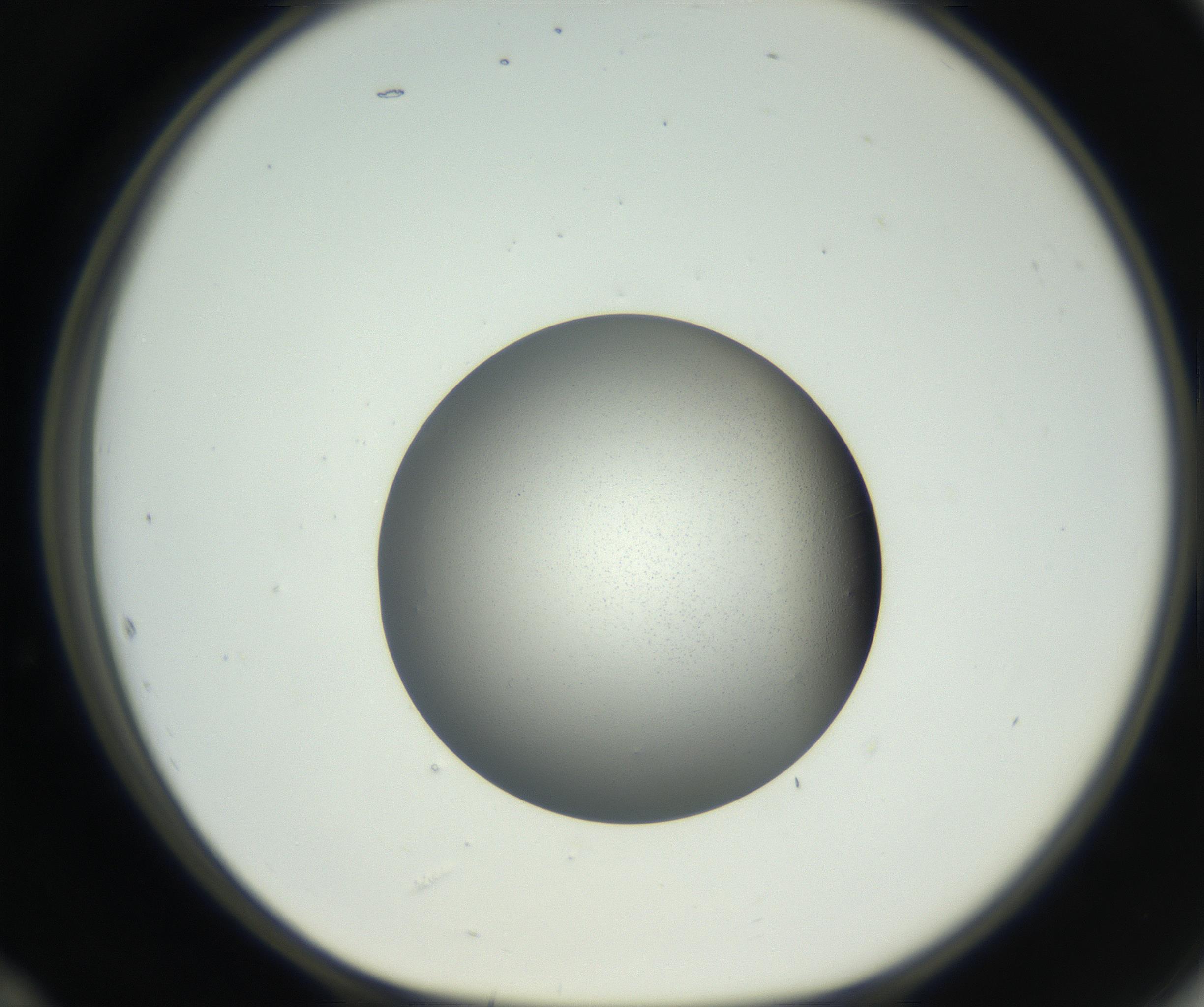 RI01_03_000_0212_Proj1_Clon1_MC_0000MC102706_003_160905_12_05_01_00_99_002_001_RAI.jpg