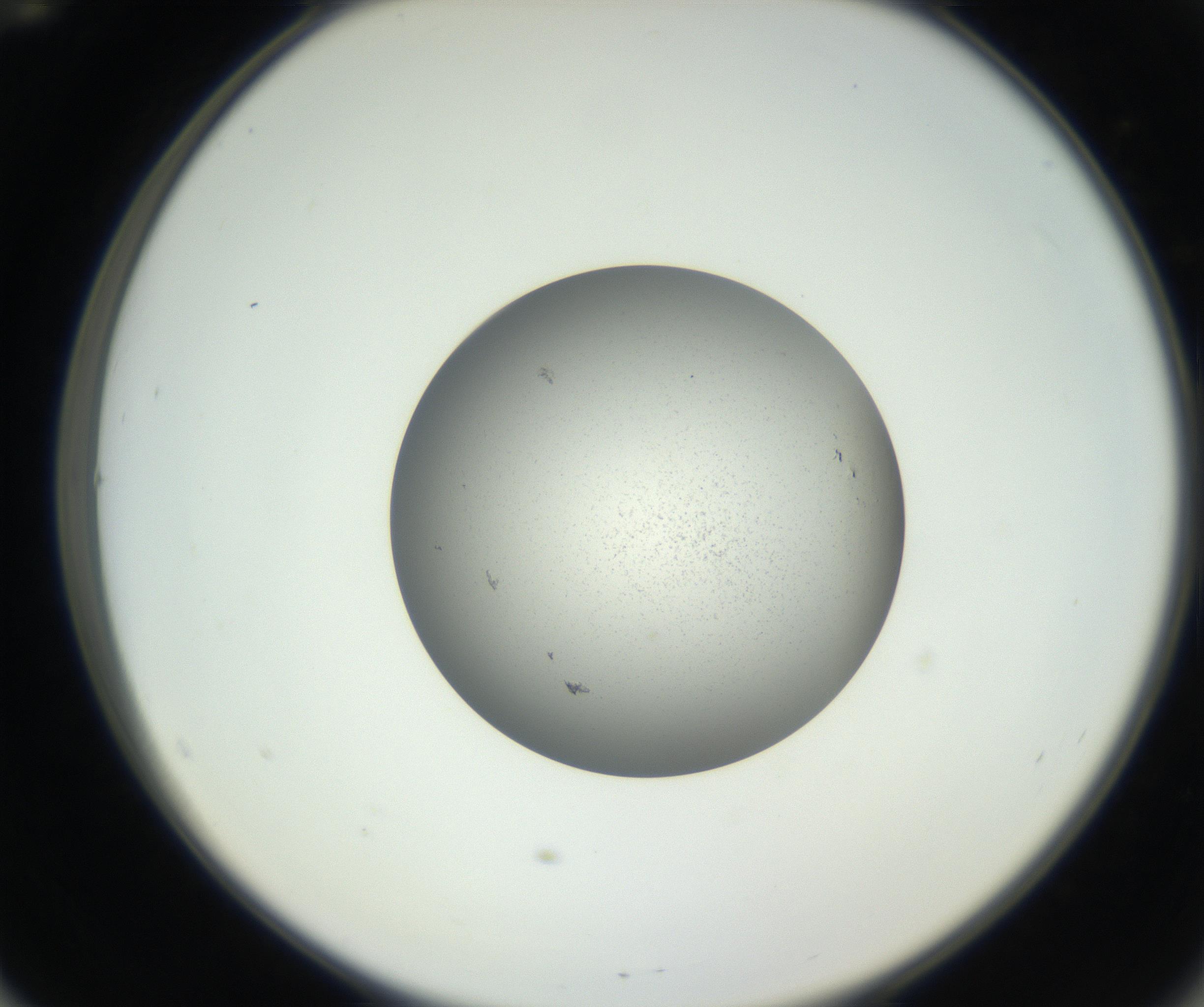 RI01_03_000_0212_Proj1_Clon1_MC_0000MC102706_003_160905_12_05_02_00_99_002_001_RAI.jpg