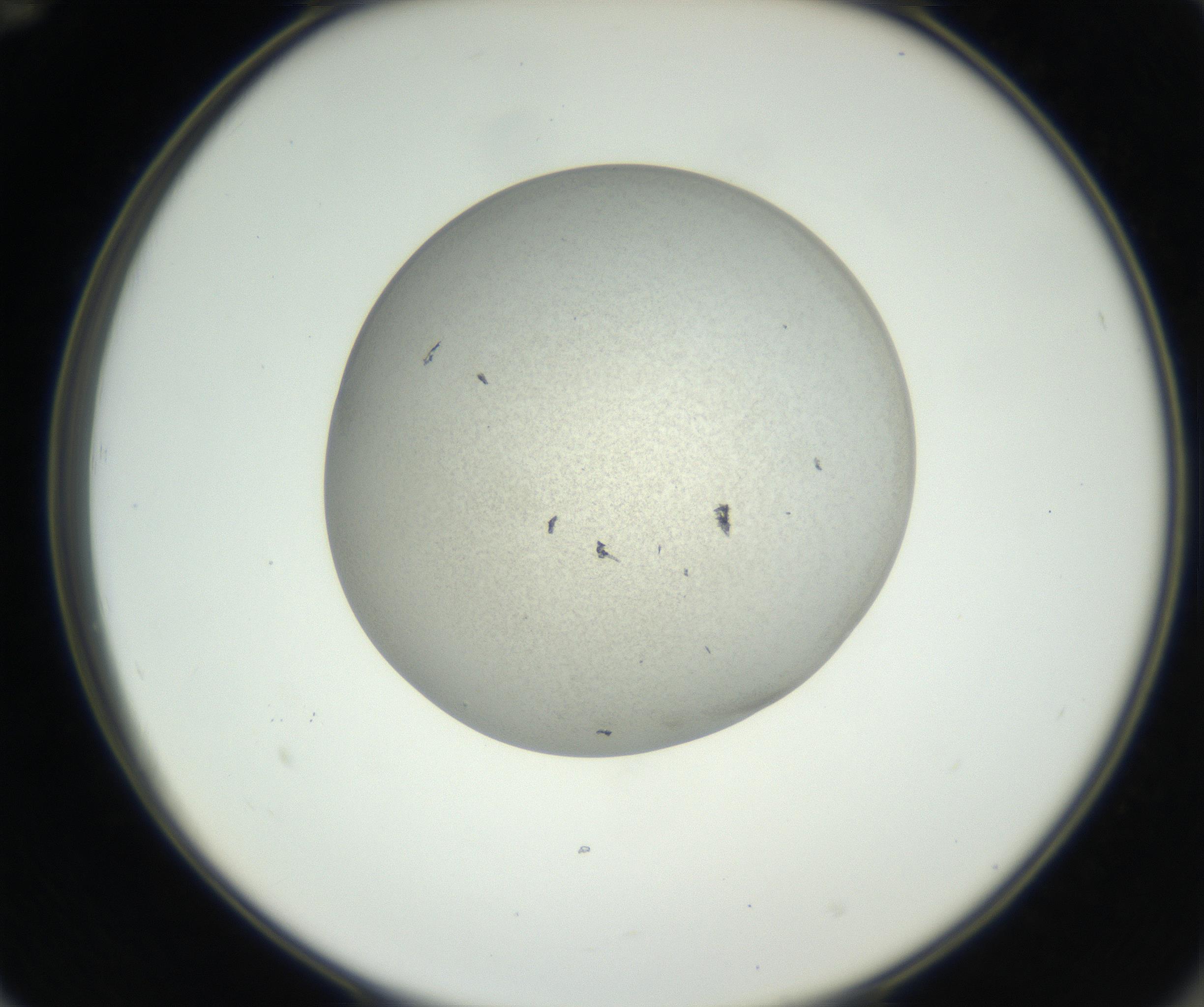 RI01_03_000_0212_Proj1_Clon1_MC_0000MC102706_003_160905_12_06_02_00_99_002_001_RAI.jpg