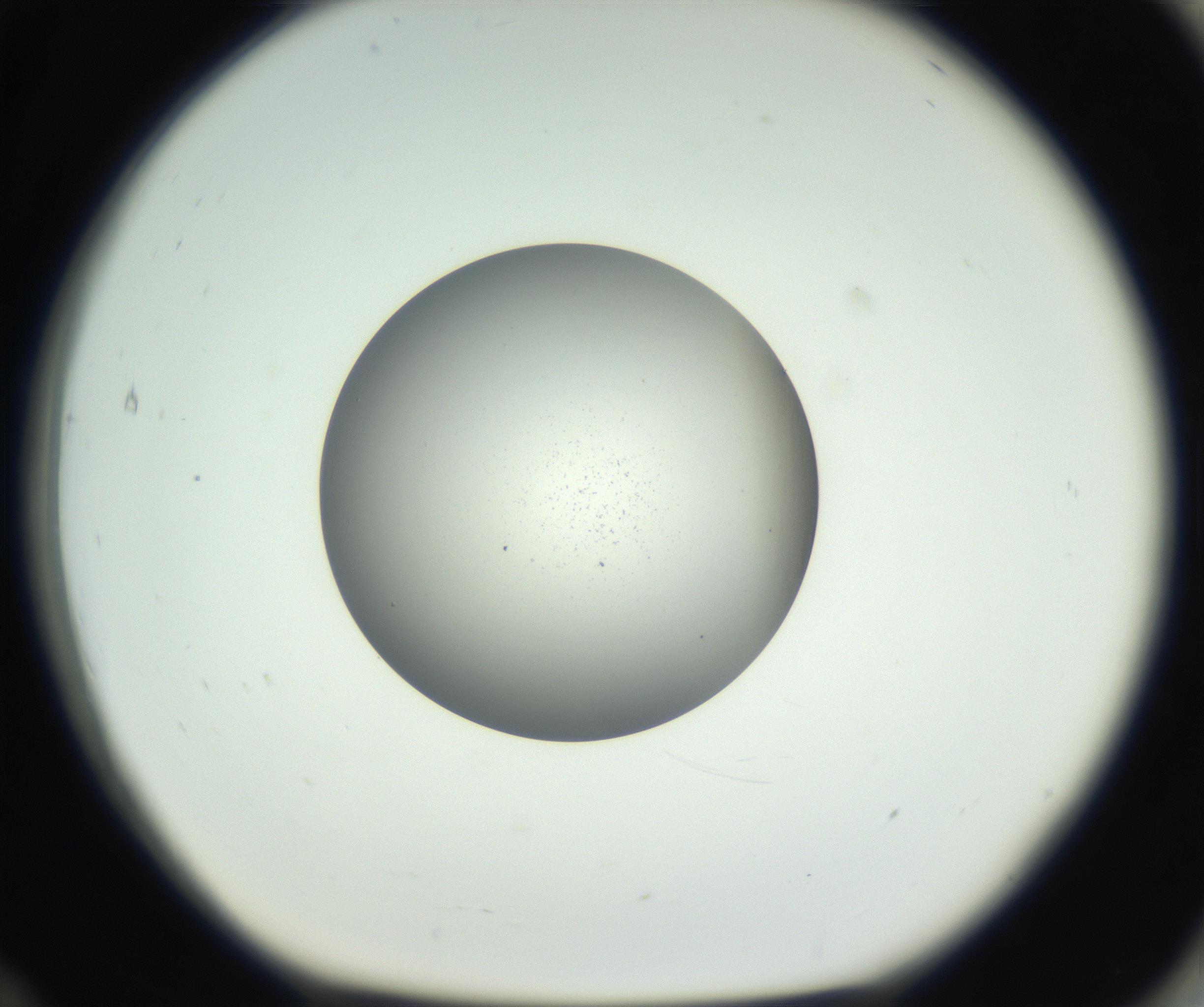 RI01_03_000_0212_Proj1_Clon1_MC_0000MC102706_003_160905_12_07_01_00_99_002_001_RAI.jpg