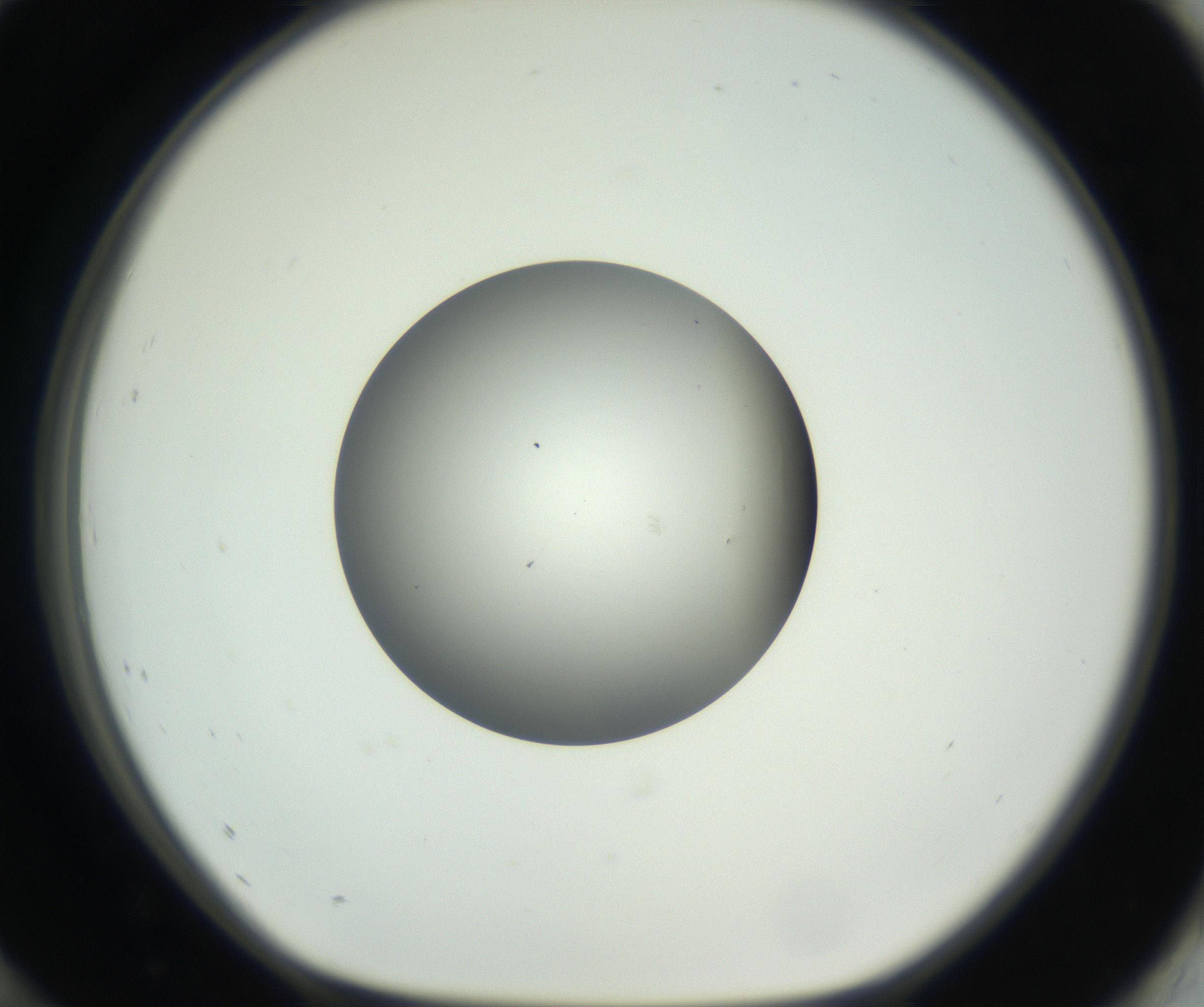RI01_03_000_0212_Proj1_Clon1_MC_0000MC102706_003_160905_12_08_01_00_99_002_001_RAI.jpg