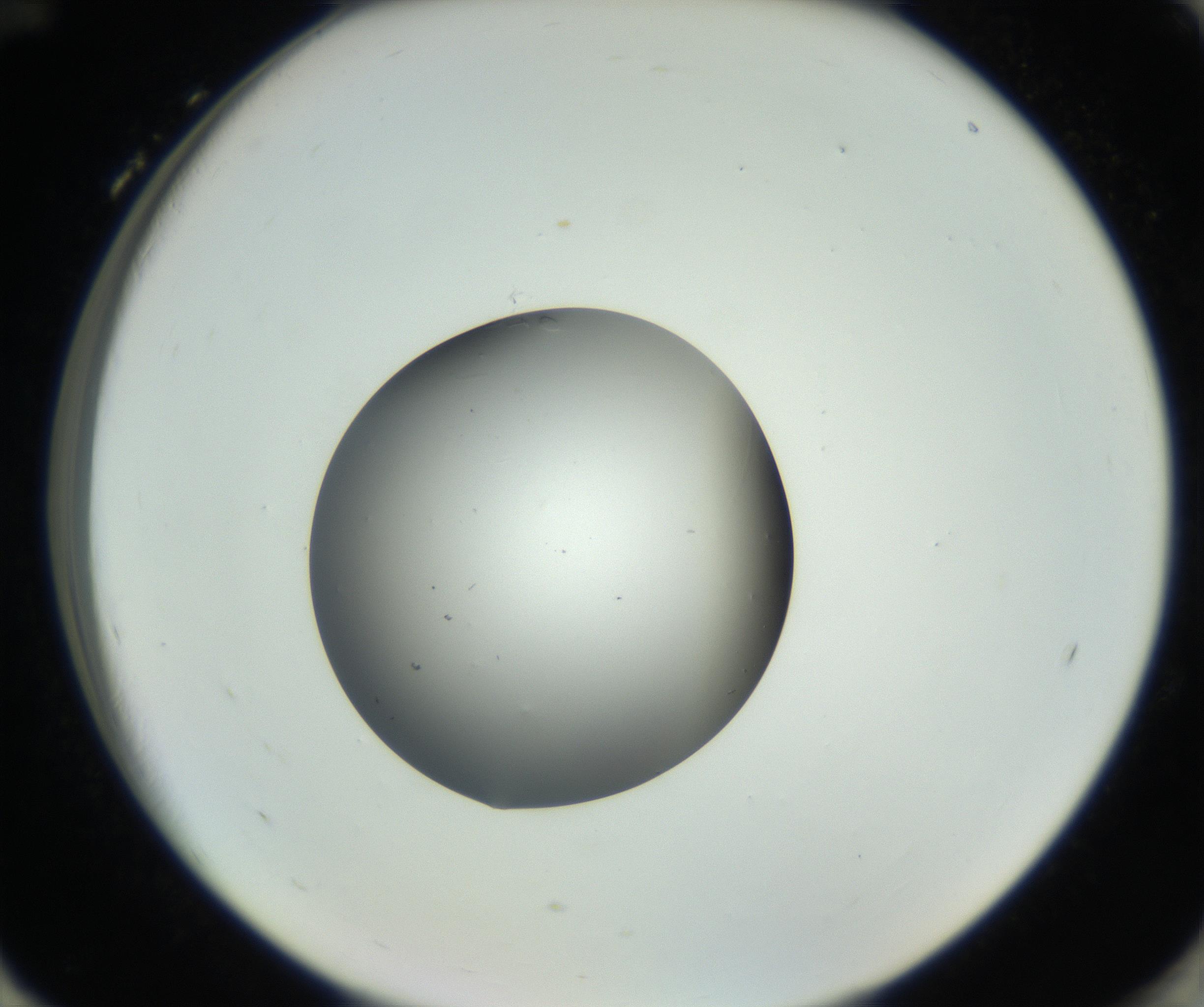 RI01_03_000_0212_Proj1_Clon1_MC_0000MC102706_003_160905_12_08_02_00_99_002_001_RAI.jpg
