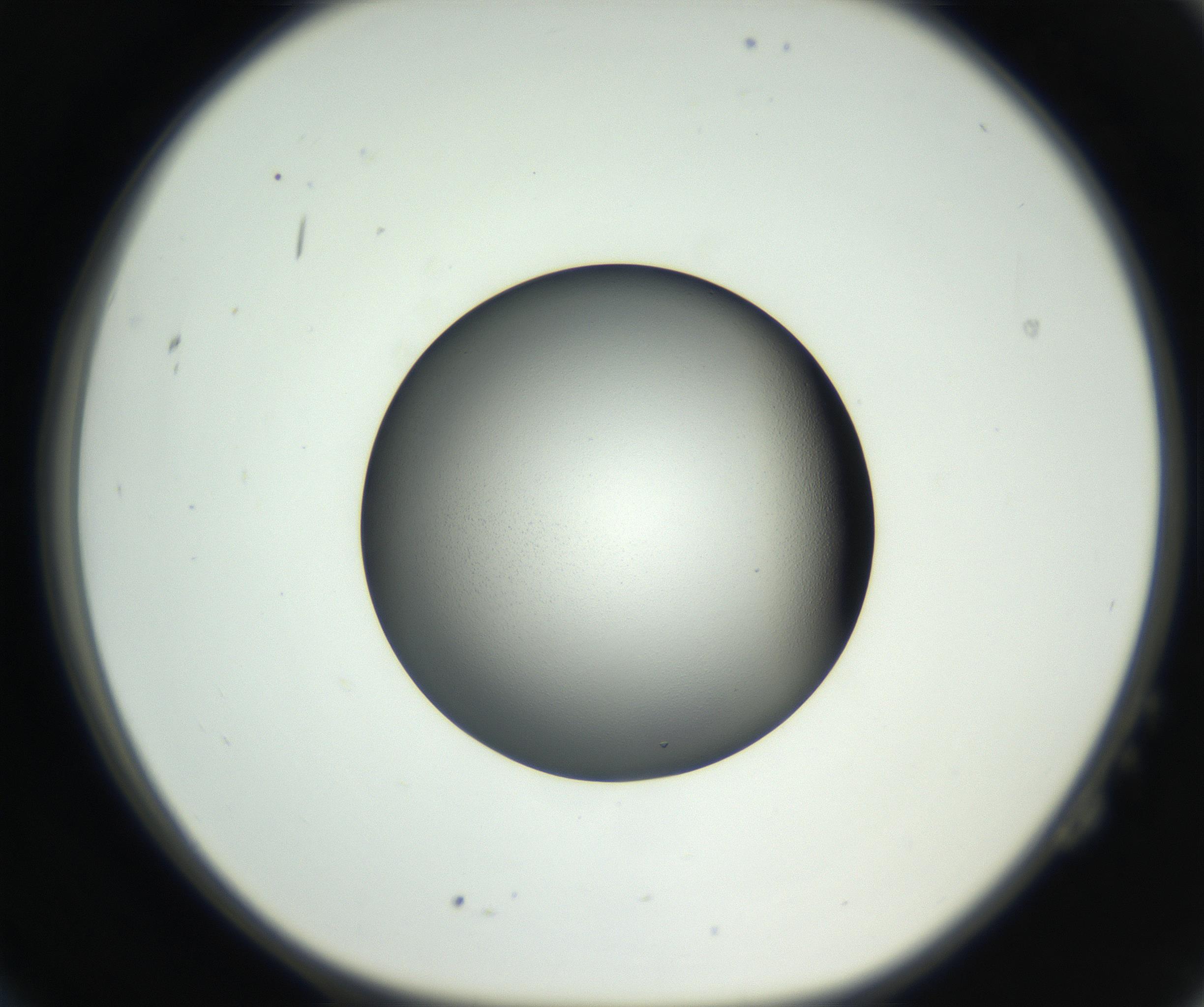 RI01_03_000_0212_Proj1_Clon1_MC_0000MC102707_003_160905_02_02_01_00_99_002_001_RAI.jpg