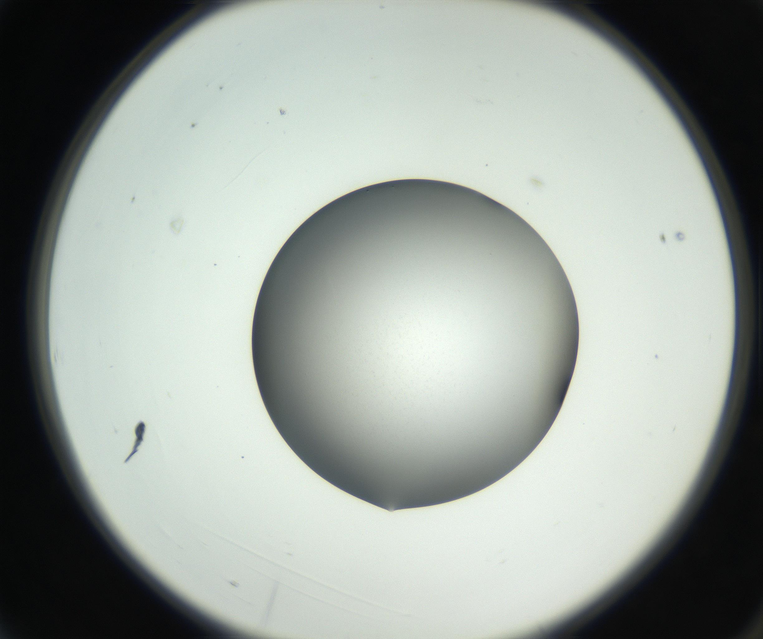 RI01_03_000_0212_Proj1_Clon1_MC_0000MC102707_003_160905_03_01_02_00_99_002_001_RAI.jpg