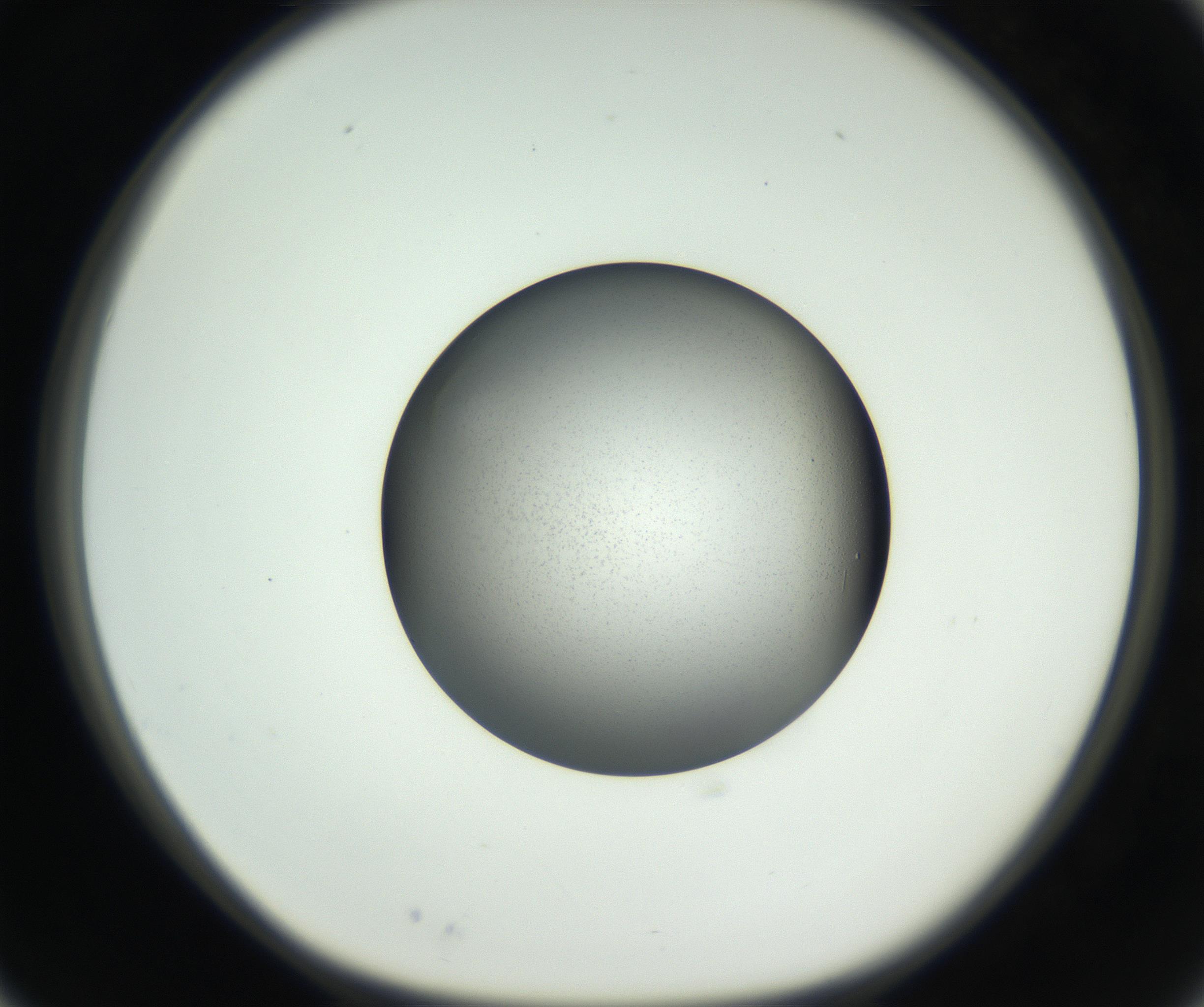 RI01_03_000_0212_Proj1_Clon1_MC_0000MC102707_003_160905_03_02_01_00_99_002_001_RAI.jpg