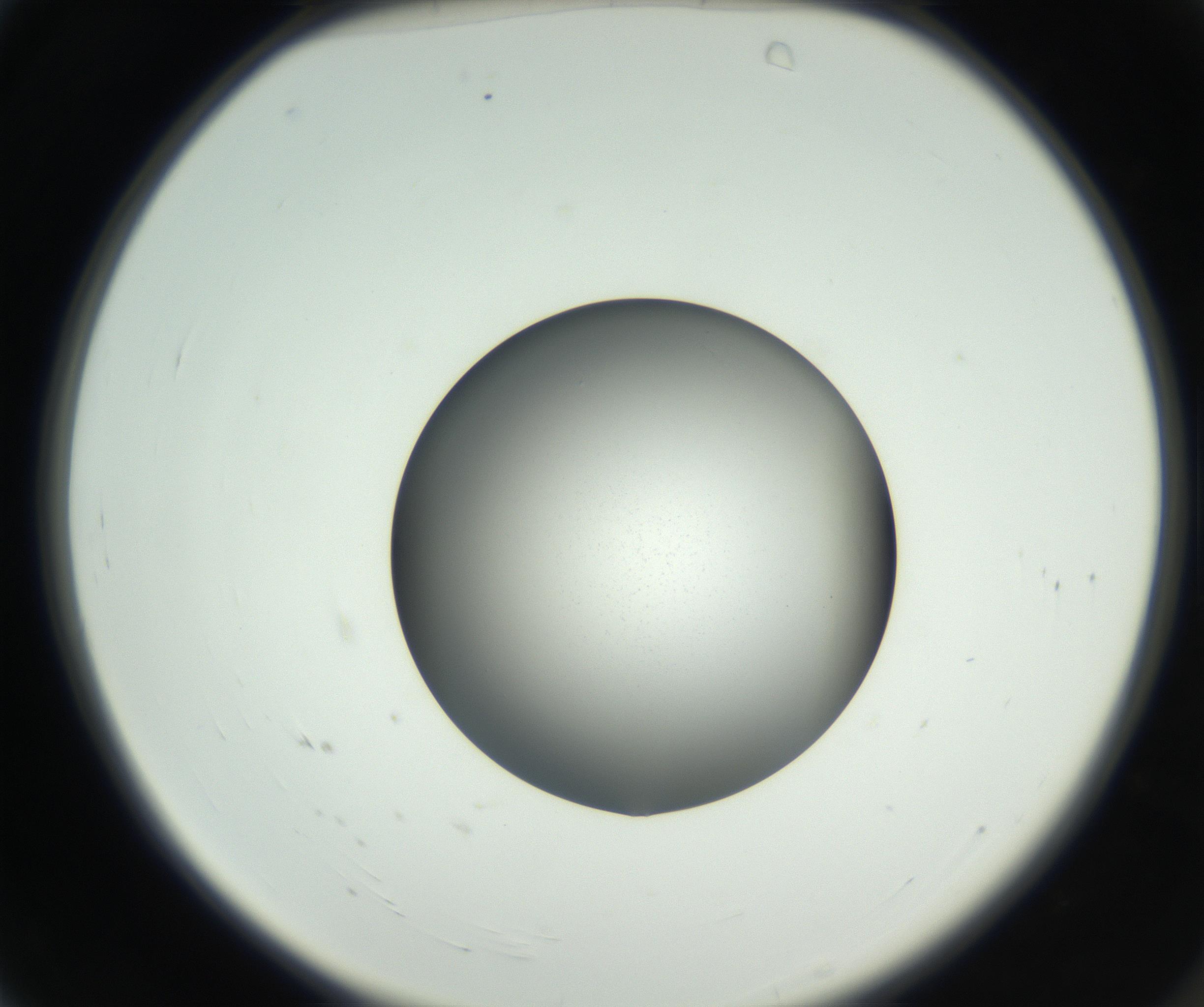RI01_03_000_0212_Proj1_Clon1_MC_0000MC102707_003_160905_04_01_02_00_99_002_001_RAI.jpg