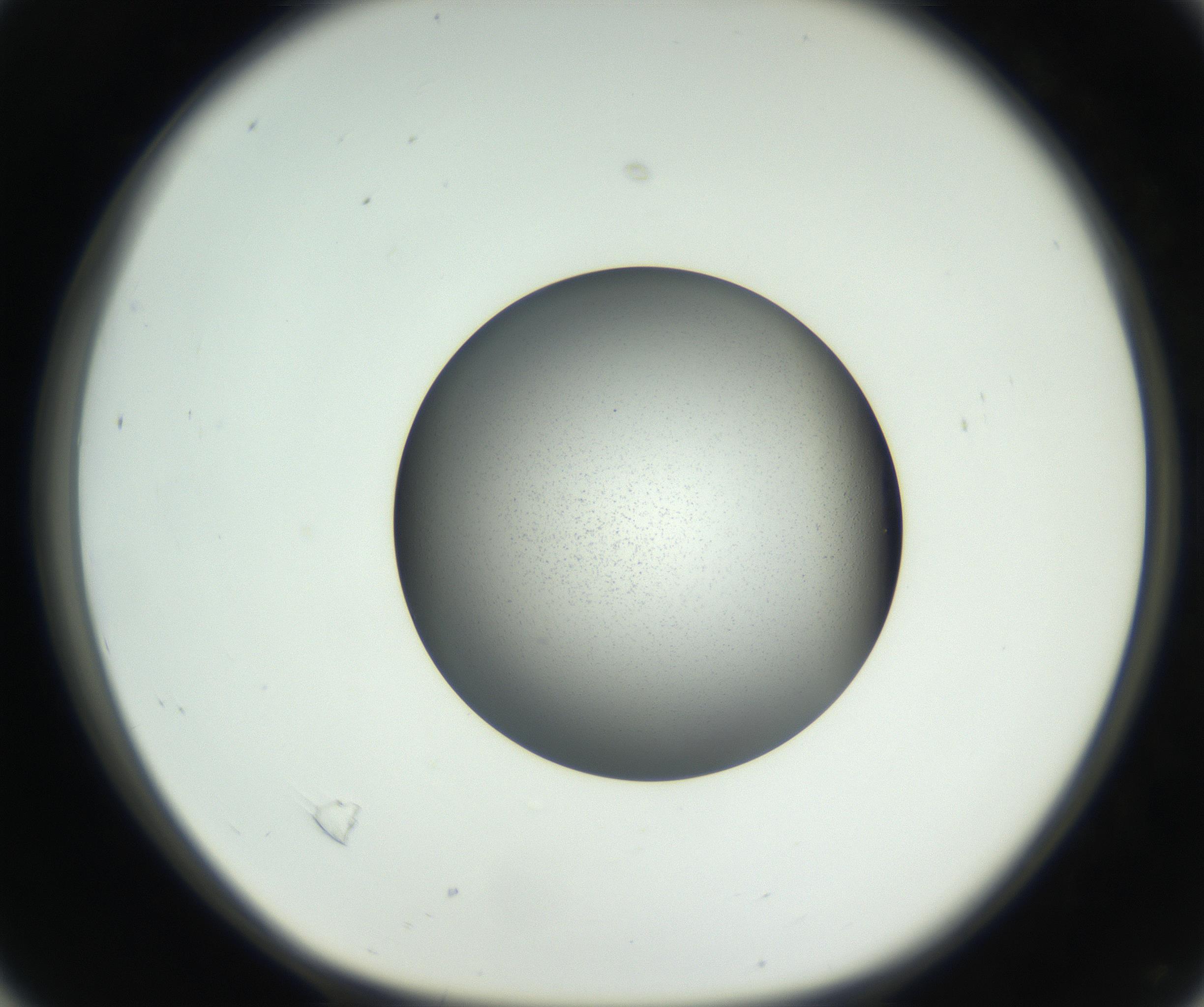 RI01_03_000_0212_Proj1_Clon1_MC_0000MC102707_003_160905_04_02_01_00_99_002_001_RAI.jpg