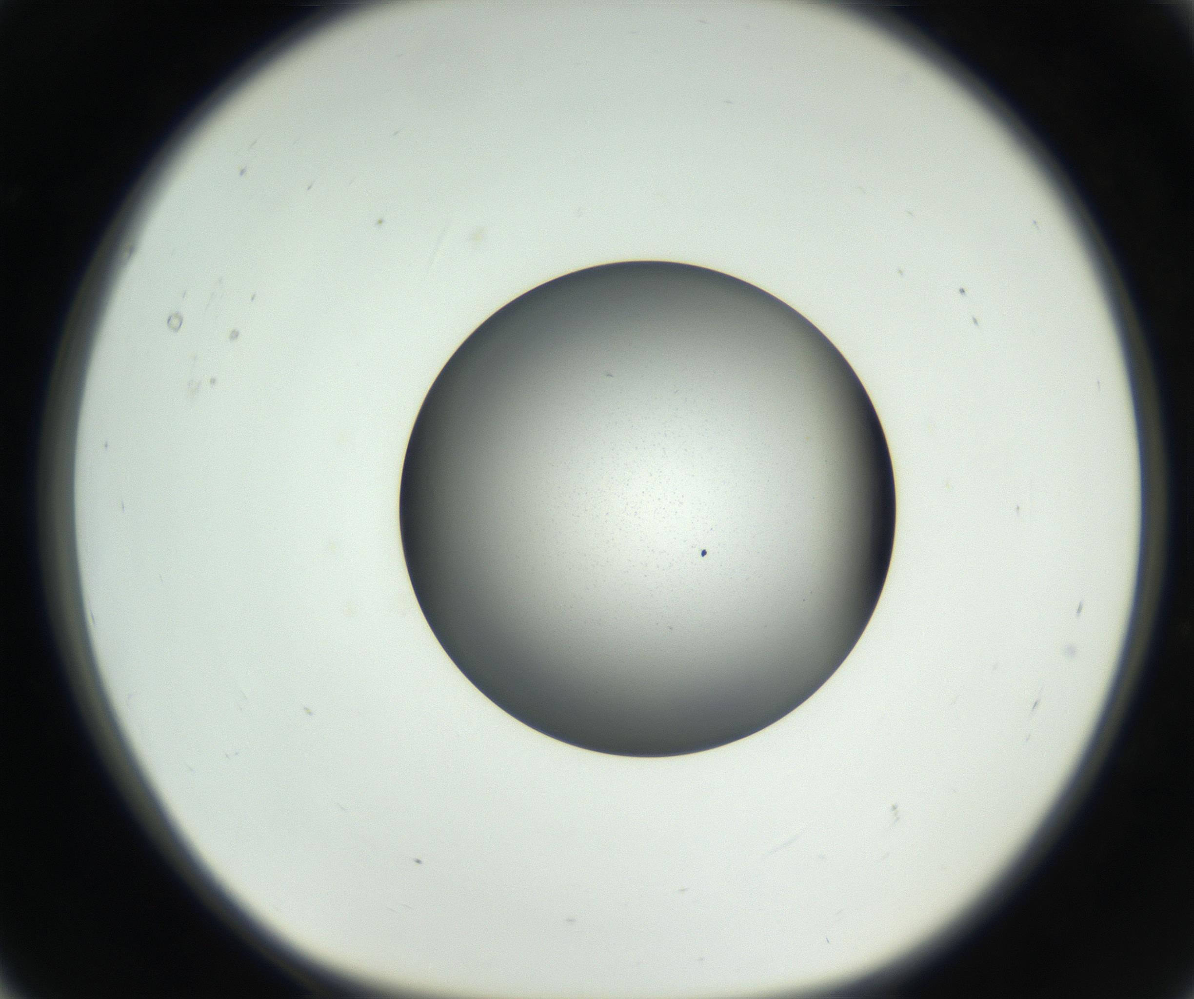 RI01_03_000_0212_Proj1_Clon1_MC_0000MC102707_003_160905_05_01_01_00_99_002_001_RAI.jpg