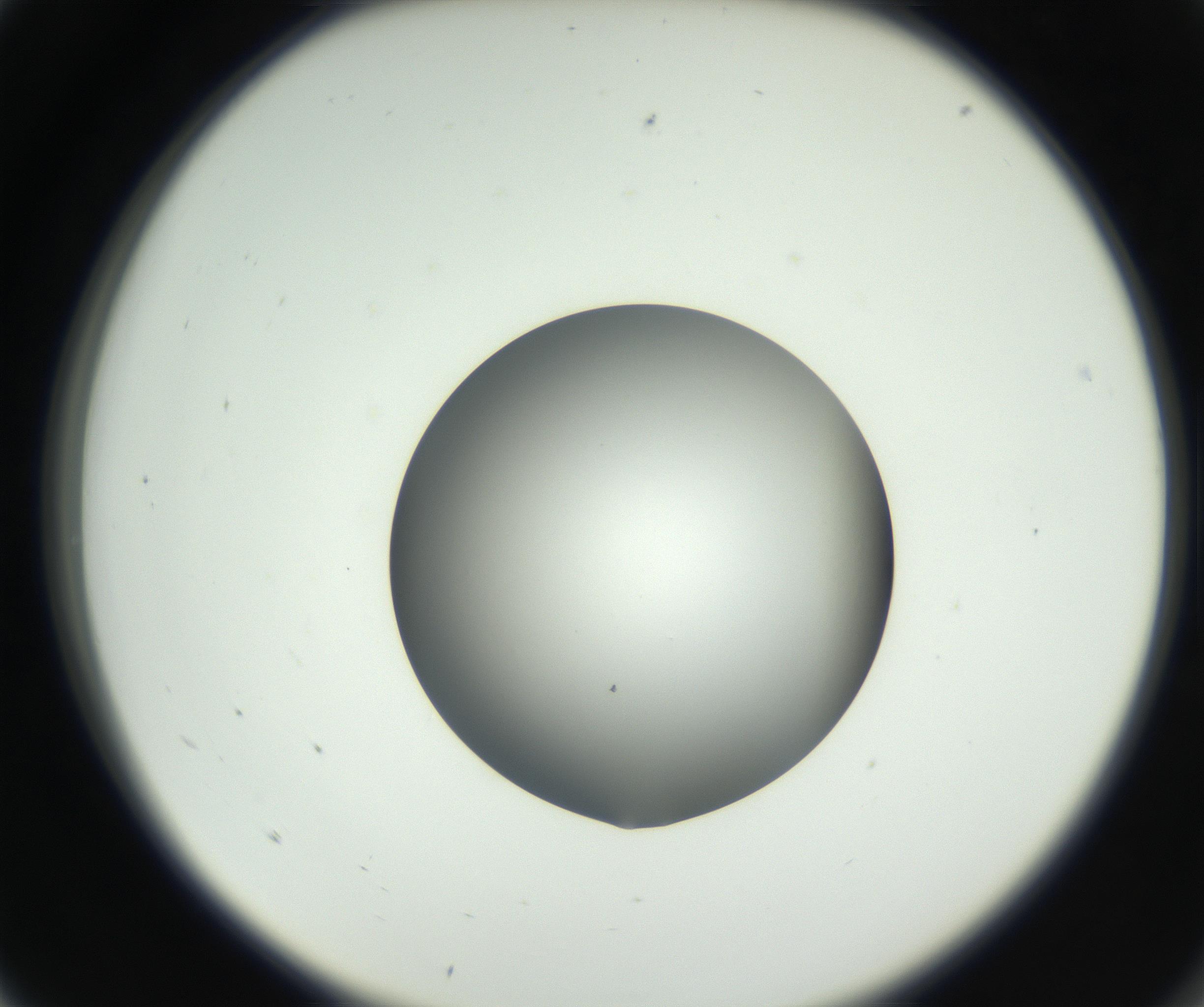 RI01_03_000_0212_Proj1_Clon1_MC_0000MC102707_003_160905_05_01_02_00_99_002_001_RAI.jpg