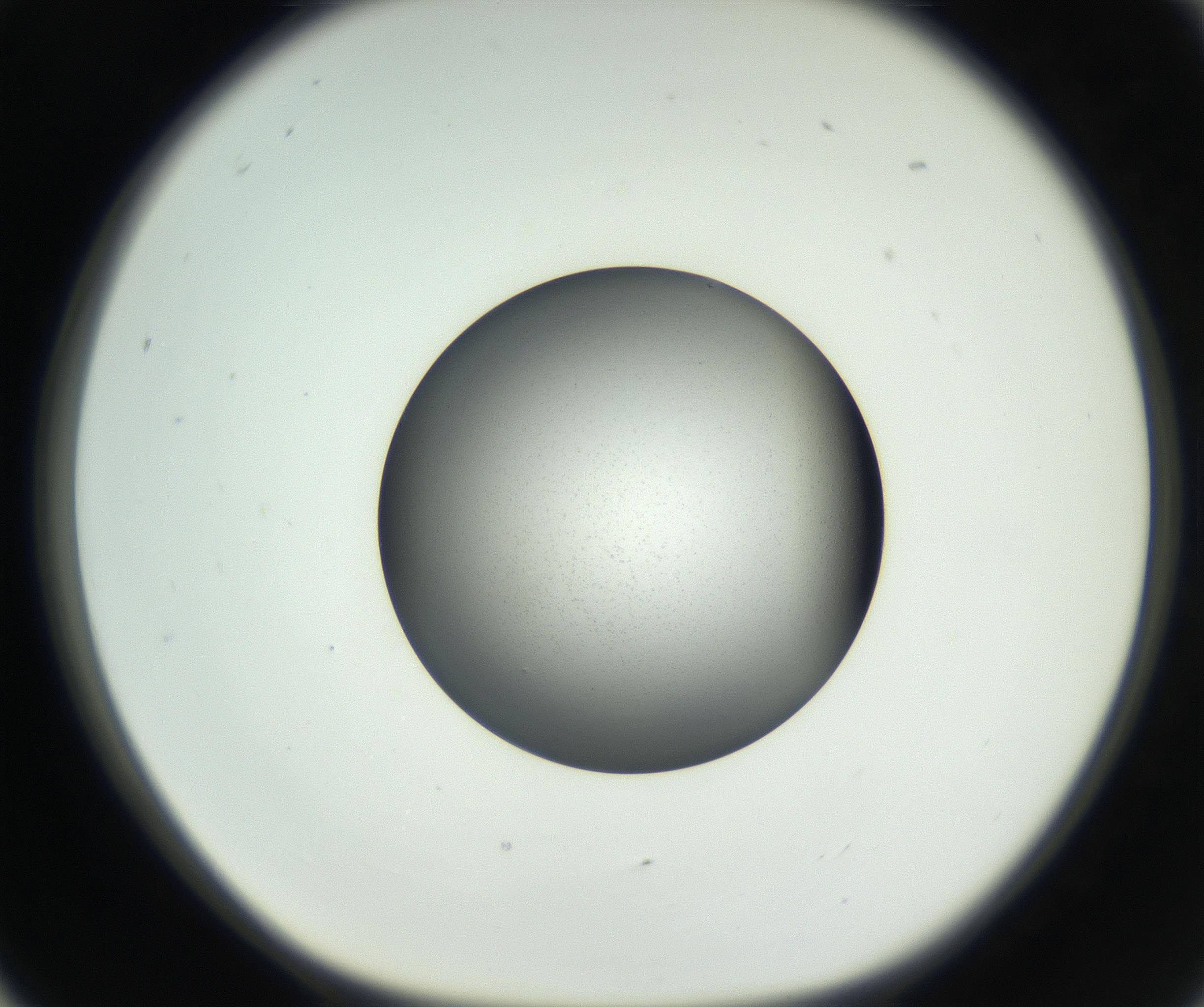 RI01_03_000_0212_Proj1_Clon1_MC_0000MC102707_003_160905_05_02_01_00_99_002_001_RAI.jpg