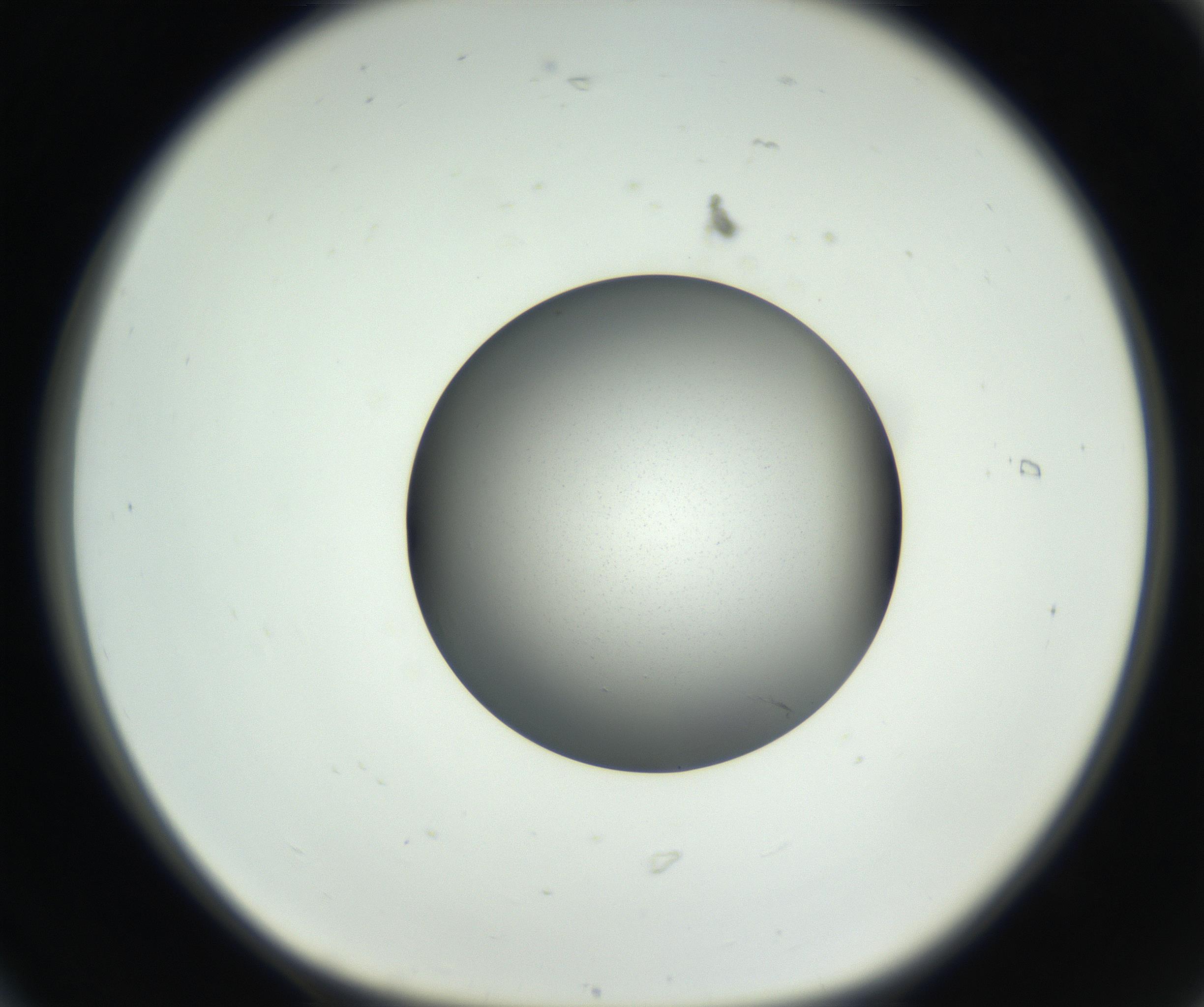 RI01_03_000_0212_Proj1_Clon1_MC_0000MC102707_003_160905_06_01_01_00_99_002_001_RAI.jpg