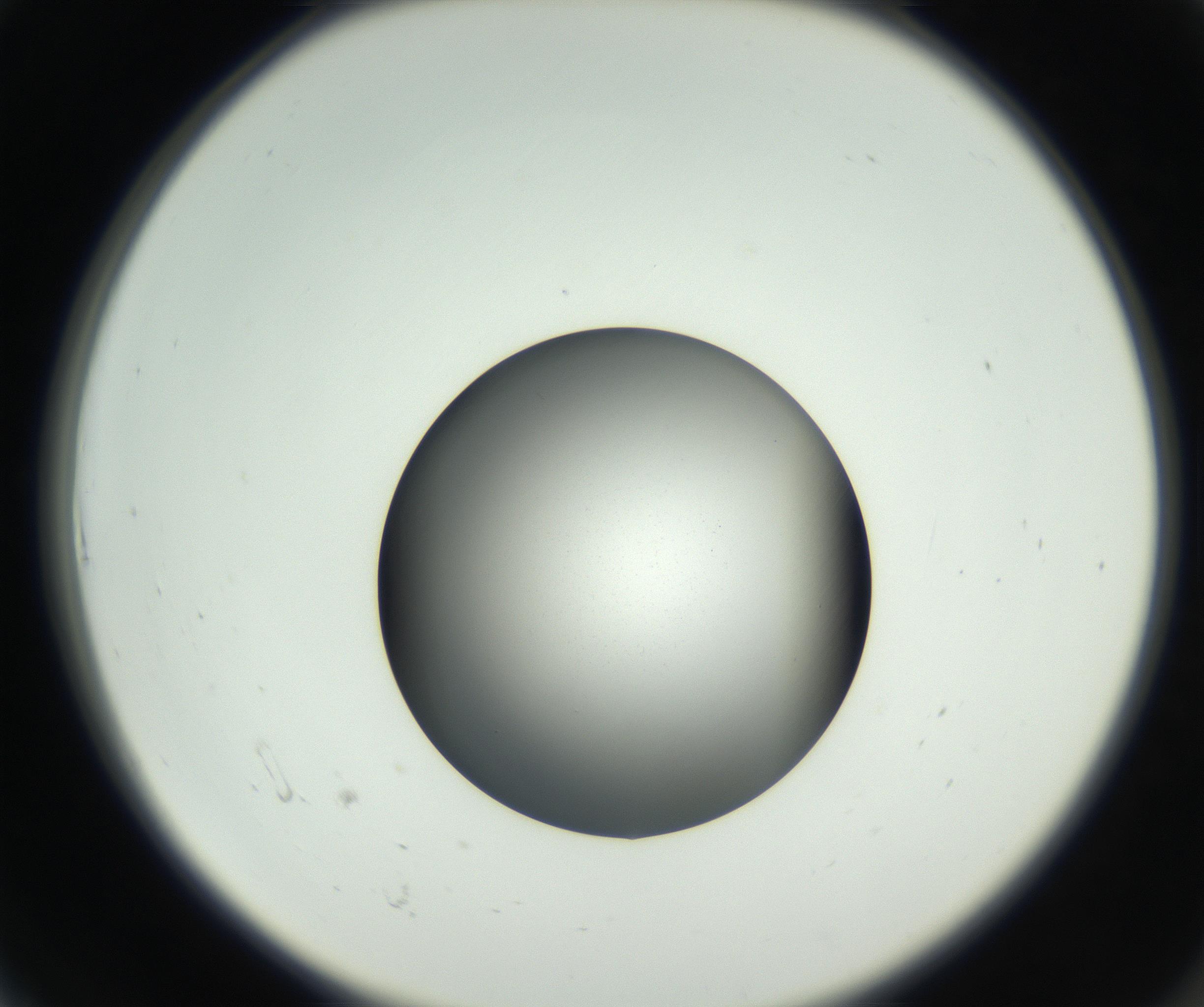 RI01_03_000_0212_Proj1_Clon1_MC_0000MC102707_003_160905_06_01_02_00_99_002_001_RAI.jpg