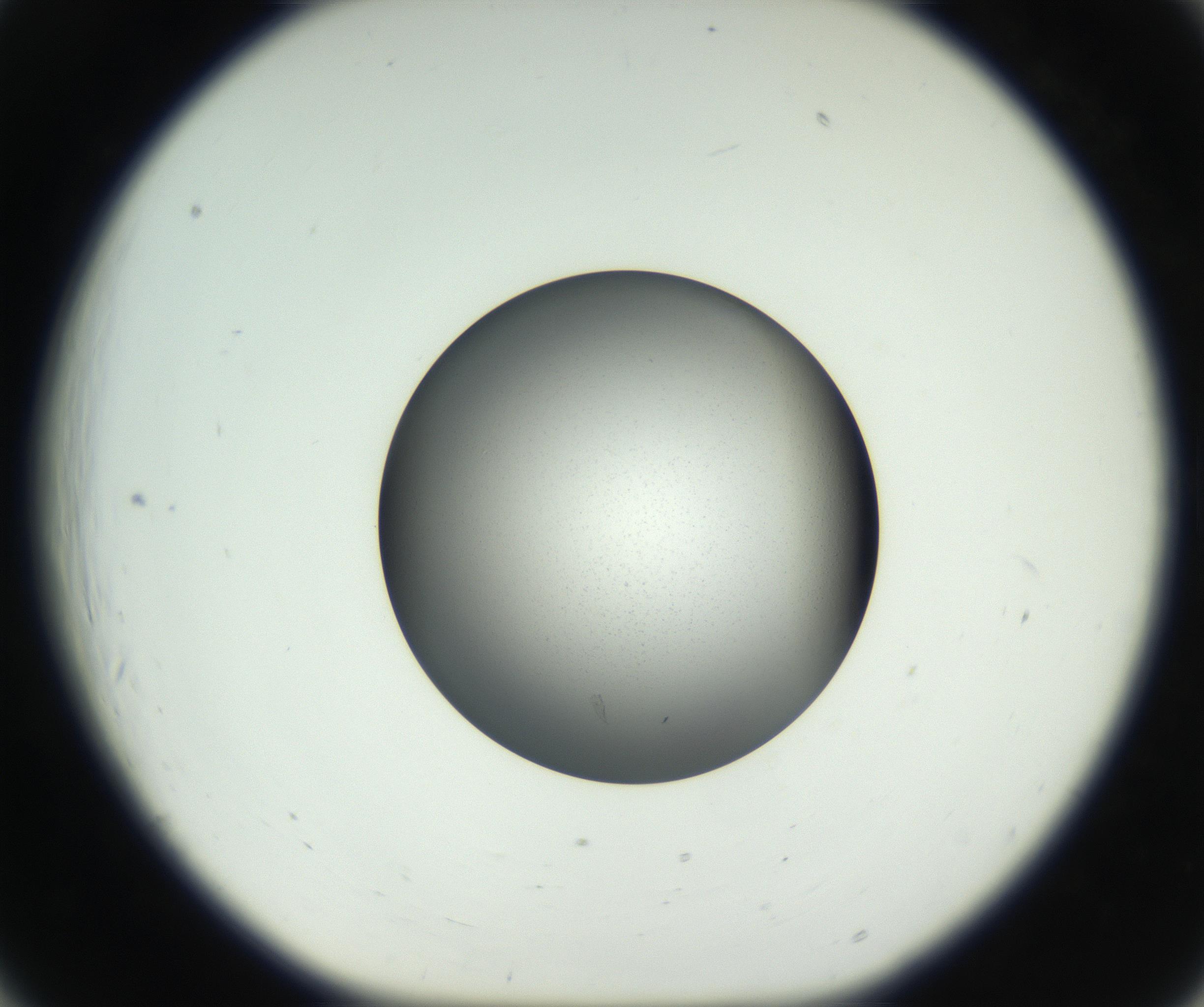 RI01_03_000_0212_Proj1_Clon1_MC_0000MC102707_003_160905_06_02_01_00_99_002_001_RAI.jpg