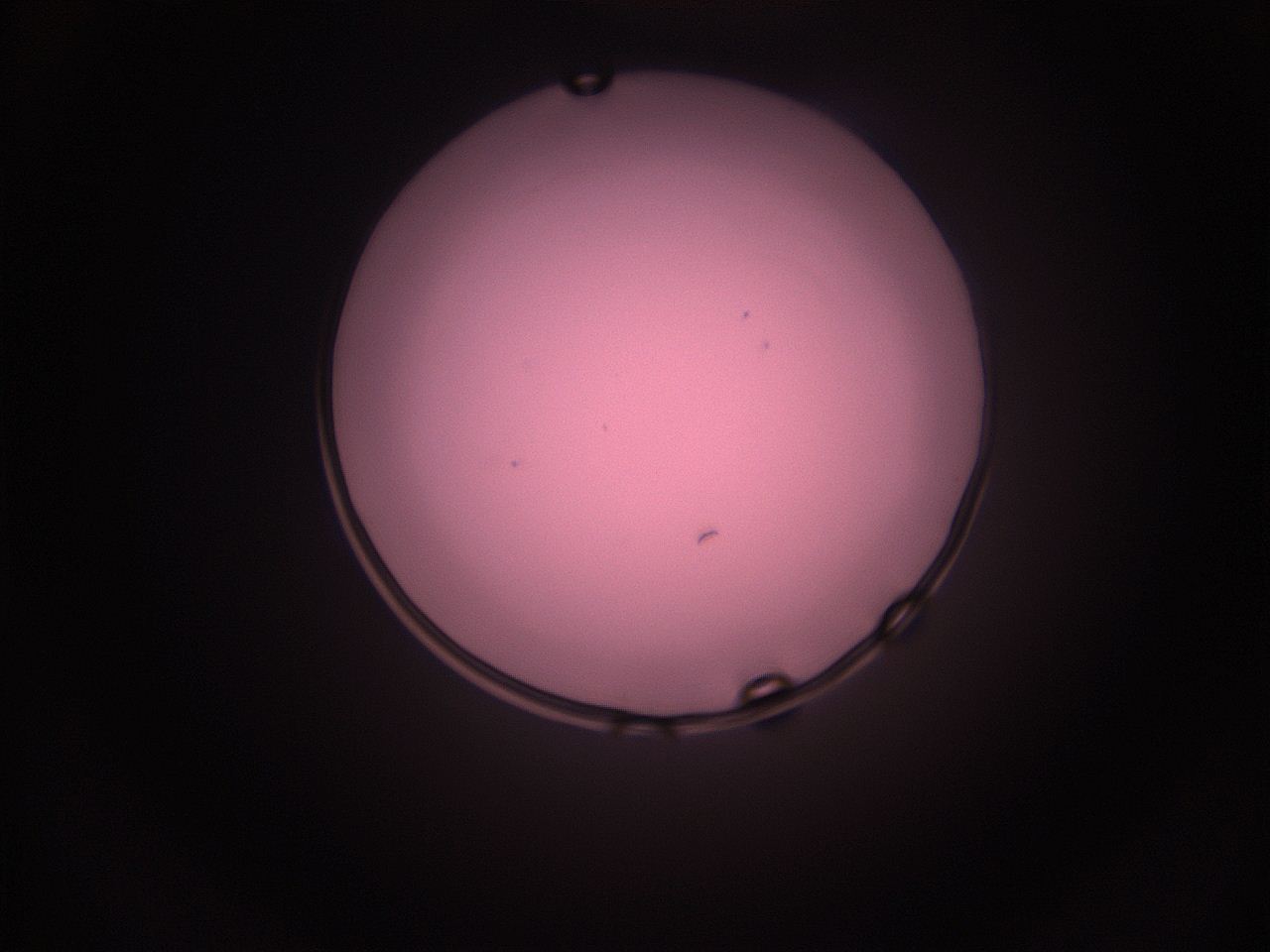 05i2_P8_ImagerDefaults_1.jpg