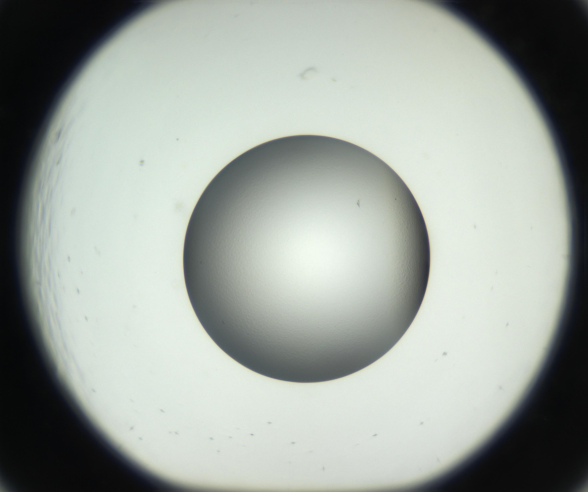 RI01_03_000_0212_Proj1_Clon1_MC_0000MC102707_003_160905_07_02_01_00_99_002_001_RAI.jpg