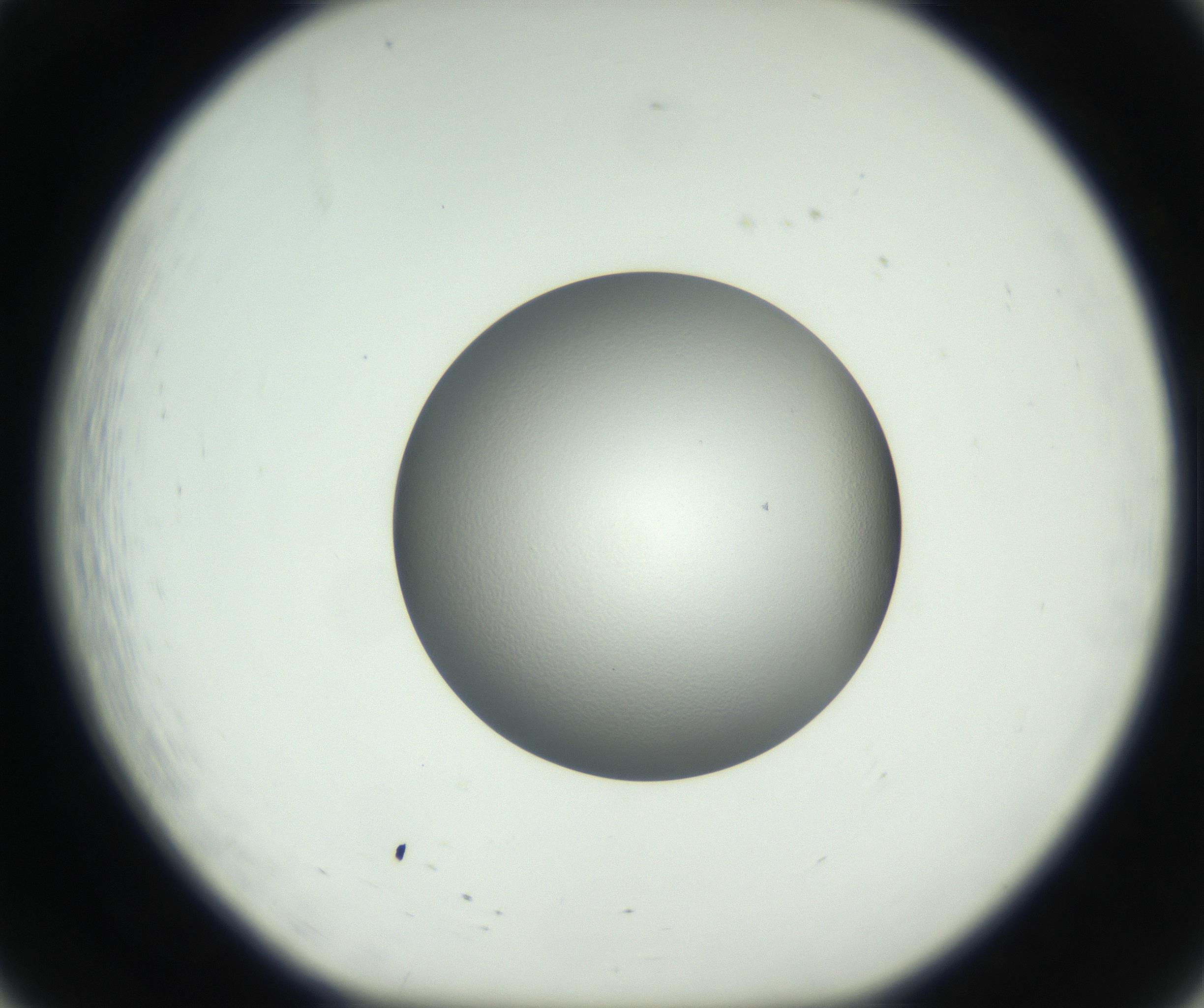 RI01_03_000_0212_Proj1_Clon1_MC_0000MC102707_003_160905_08_02_01_00_99_002_001_RAI.jpg