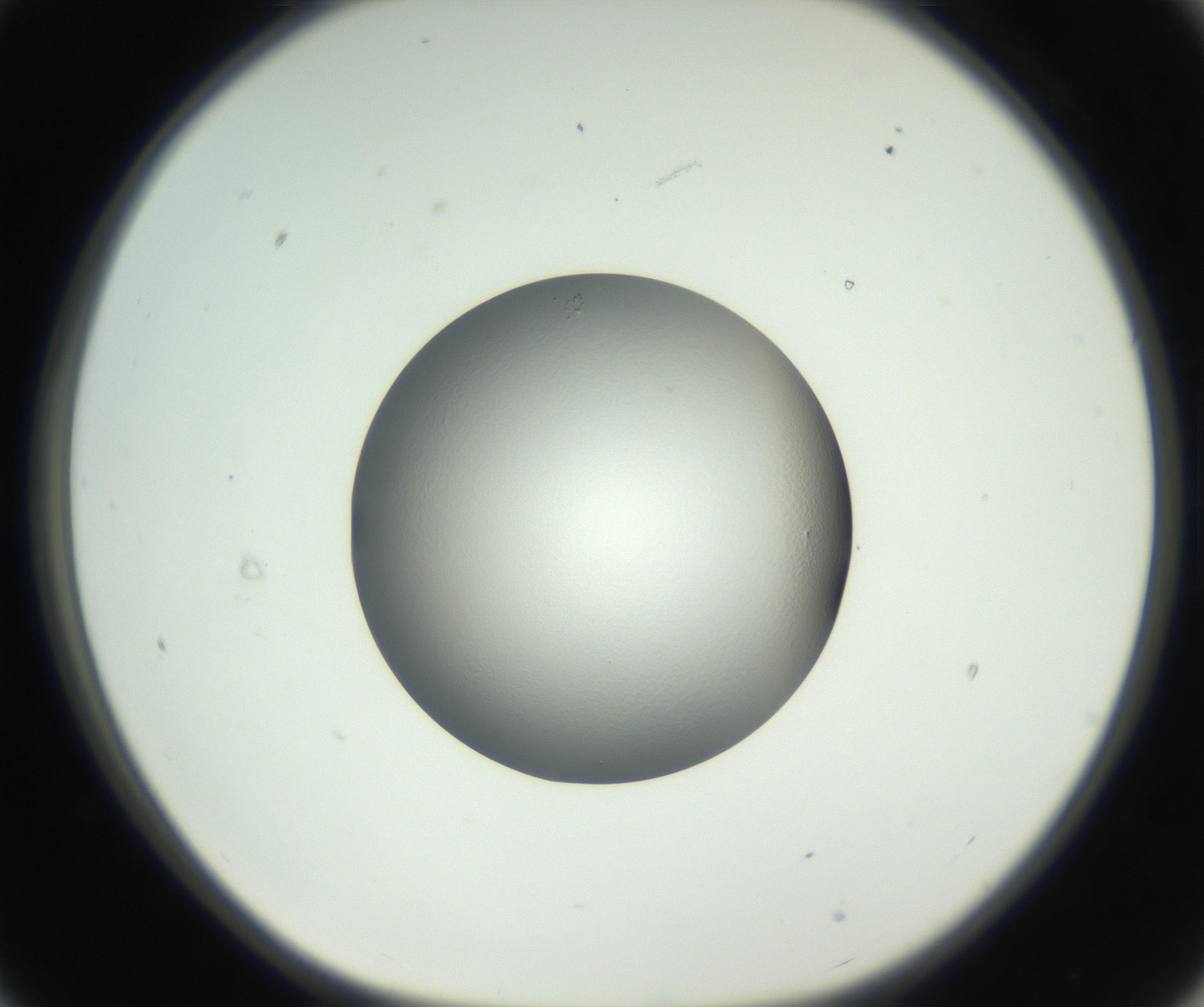 RI01_03_000_0212_Proj1_Clon1_MC_0000MC102707_003_160905_09_02_01_00_99_002_001_RAI.jpg