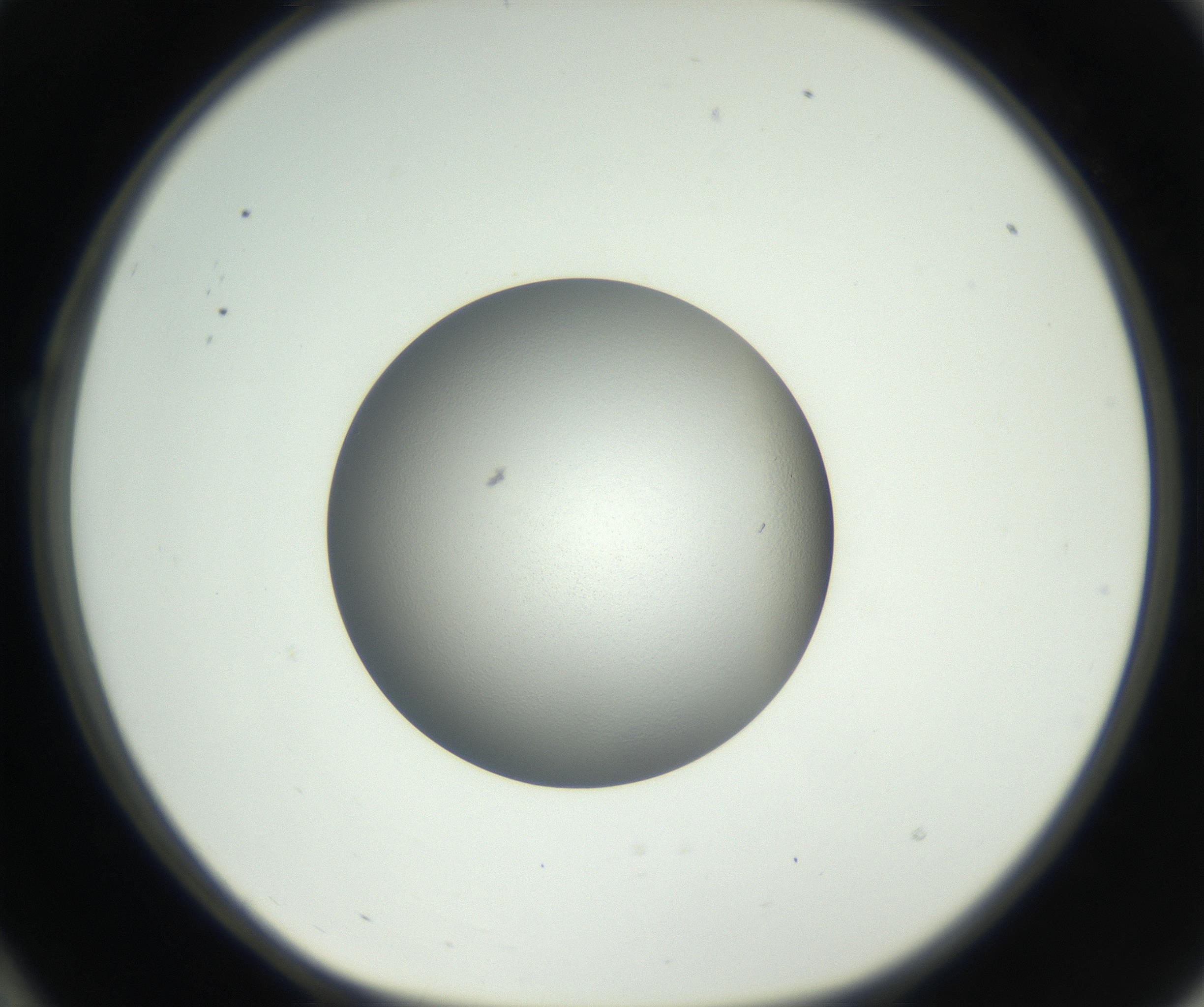 RI01_03_000_0212_Proj1_Clon1_MC_0000MC102707_003_160905_10_02_01_00_99_002_001_RAI.jpg