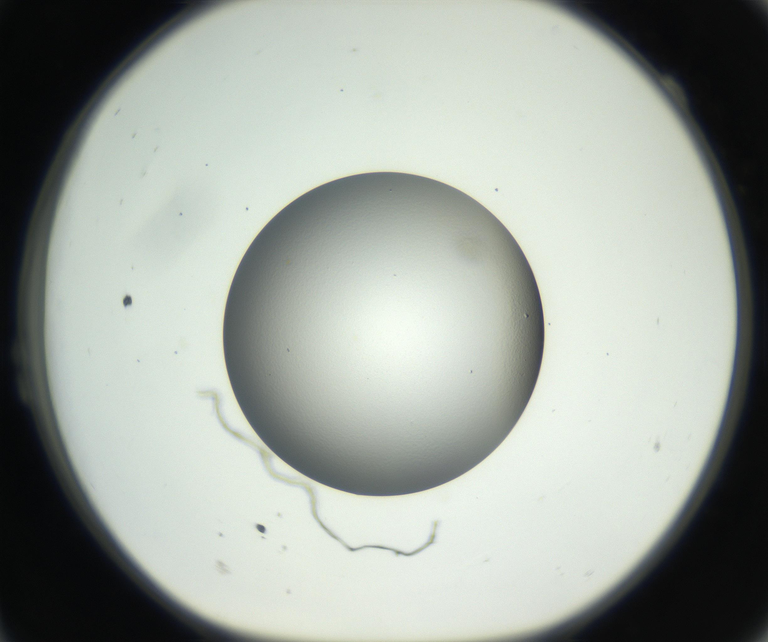 RI01_03_000_0212_Proj1_Clon1_MC_0000MC102707_003_160905_11_02_01_00_99_002_001_RAI.jpg