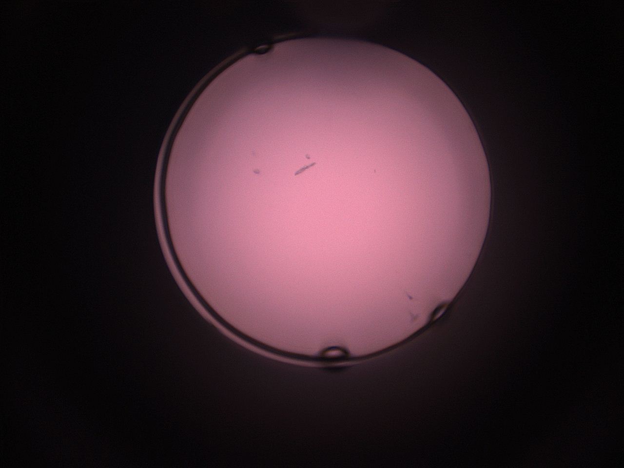 05i2_P10_ImagerDefaults_1.jpg