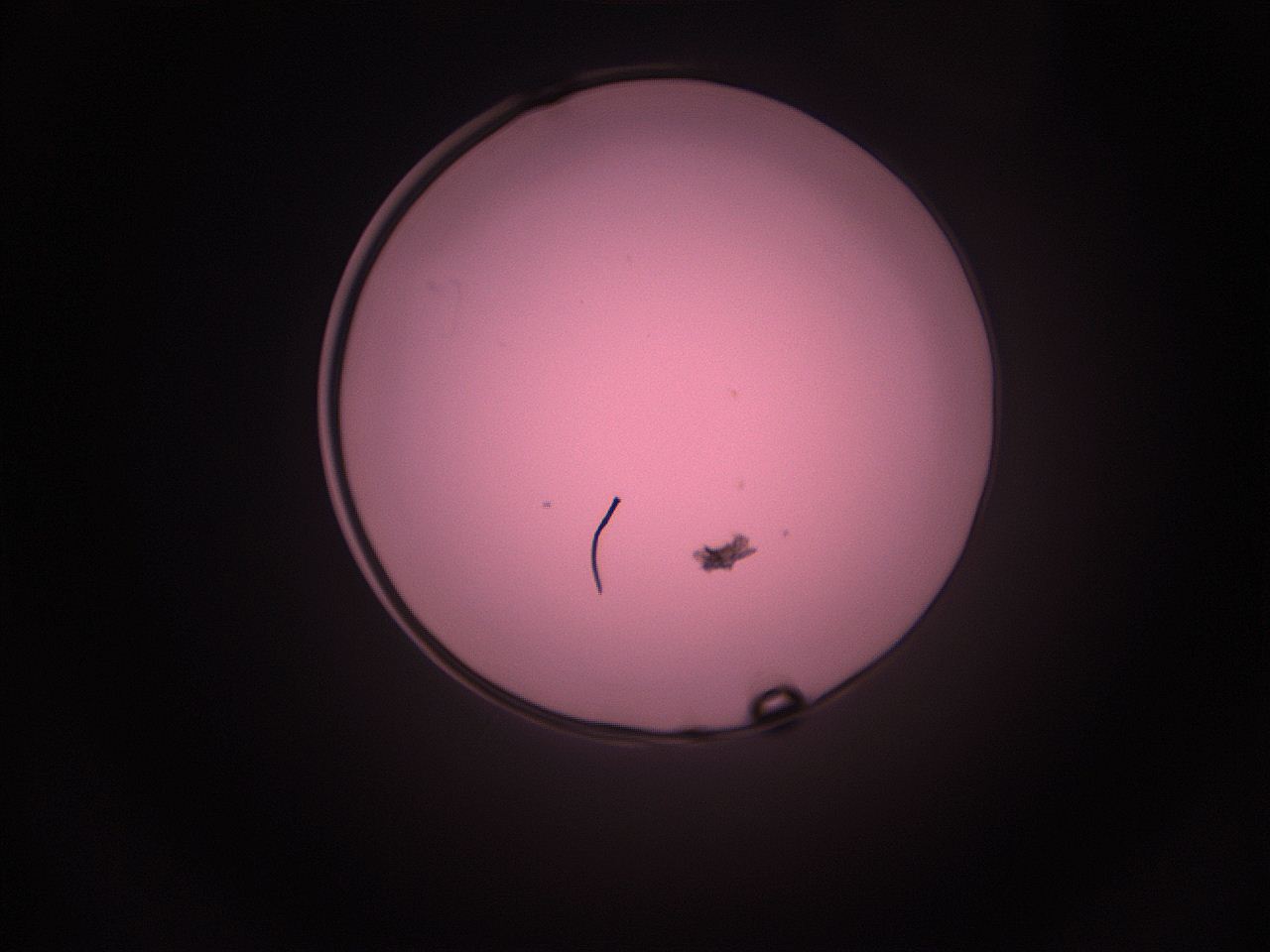 05i2_P11_ImagerDefaults_1.jpg
