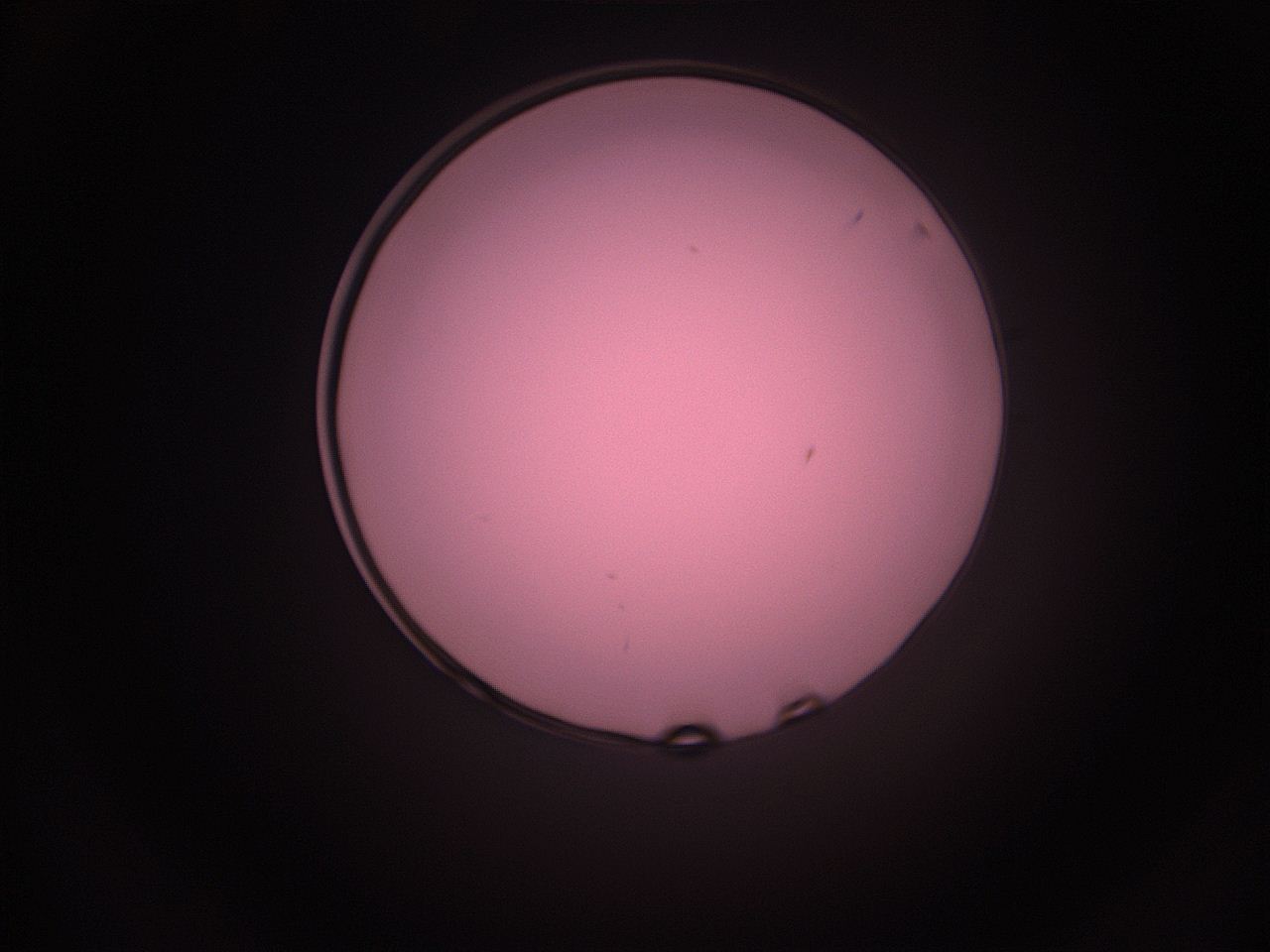 05i2_P12_ImagerDefaults_1.jpg
